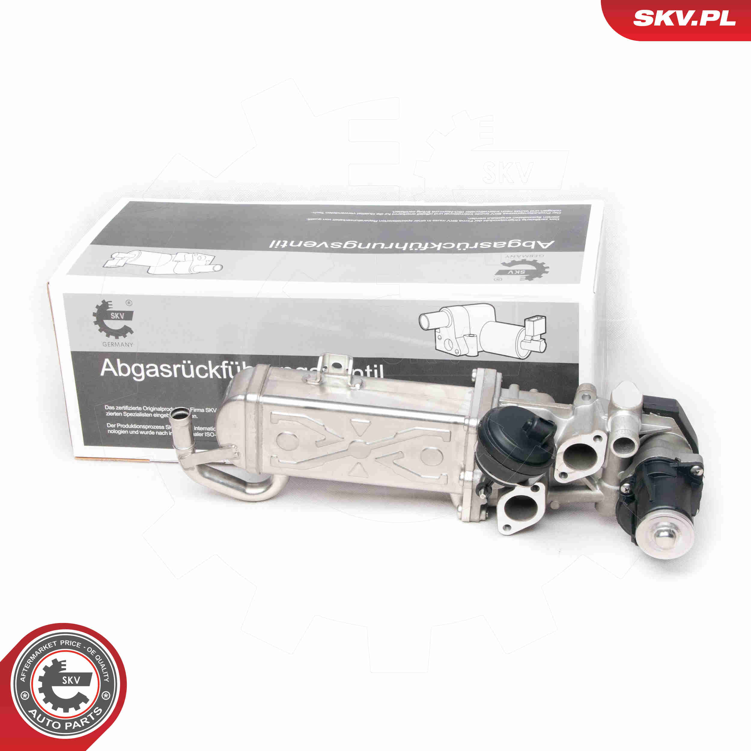 Valvola ricircolo gas scarico-EGR - 14SKV094 ESEN SKV