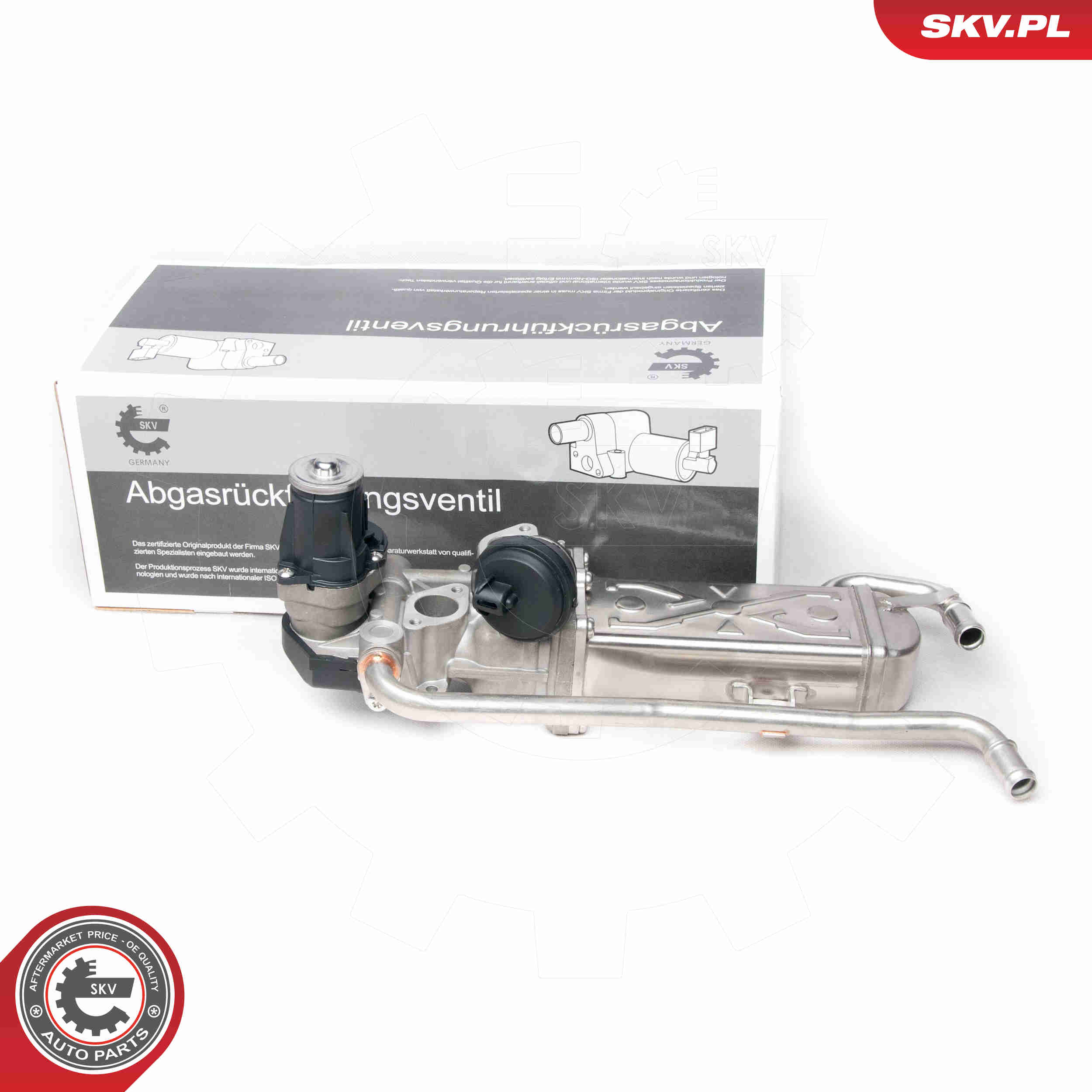 EGR Valve - 14SKV095 ESEN SKV