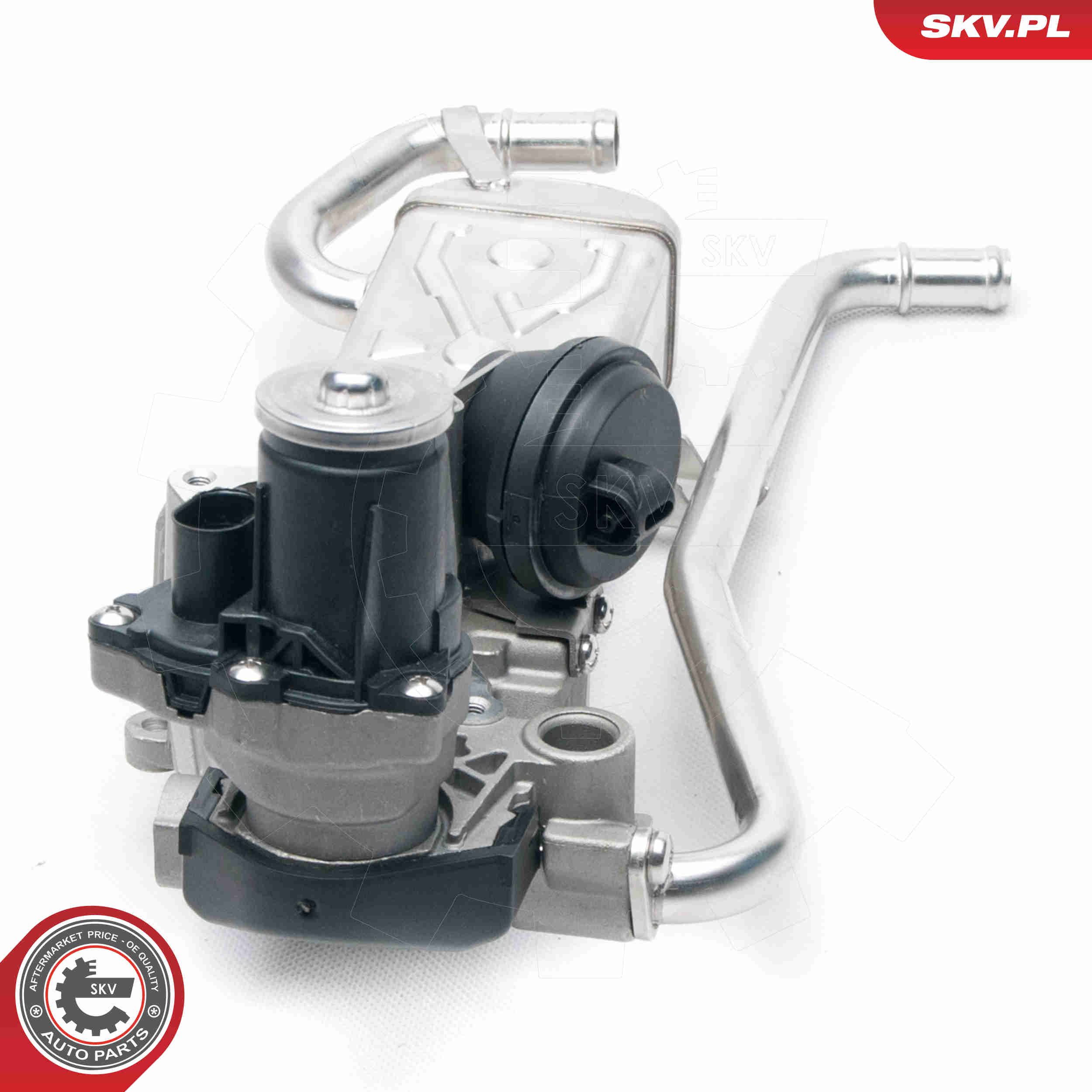 EGR Valve - 14SKV096 ESEN SKV