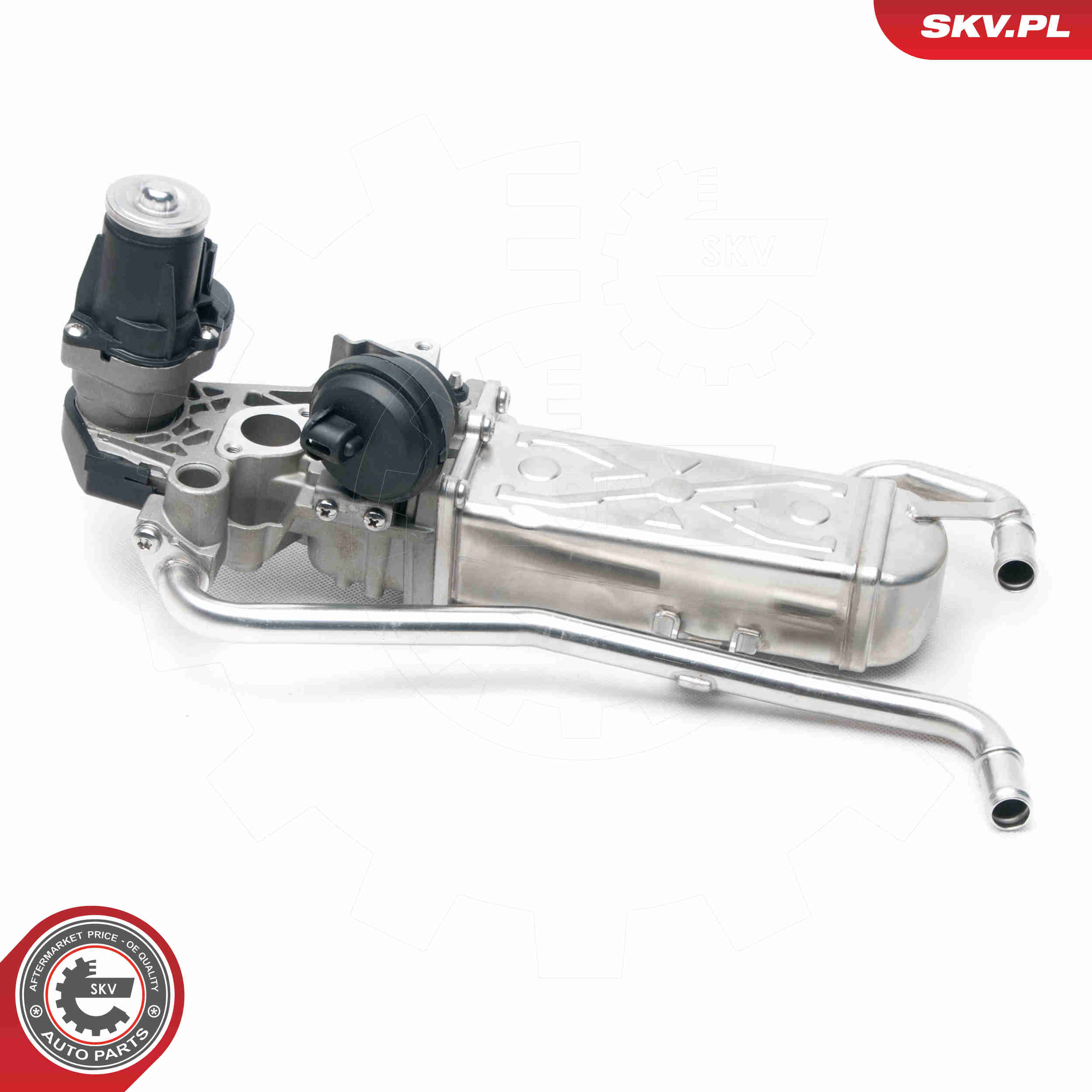 EGR Valve - 14SKV096 ESEN SKV