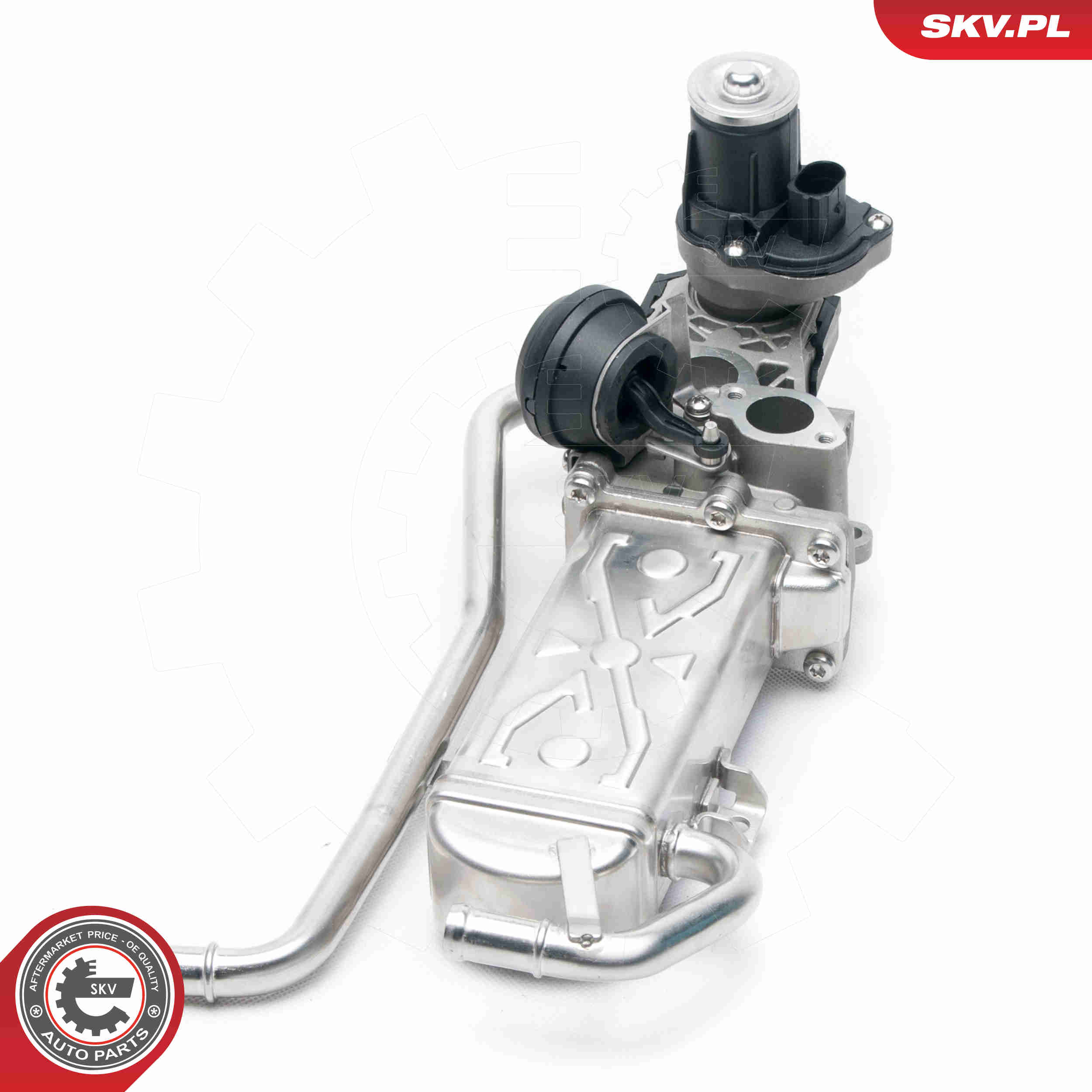EGR Valve - 14SKV096 ESEN SKV