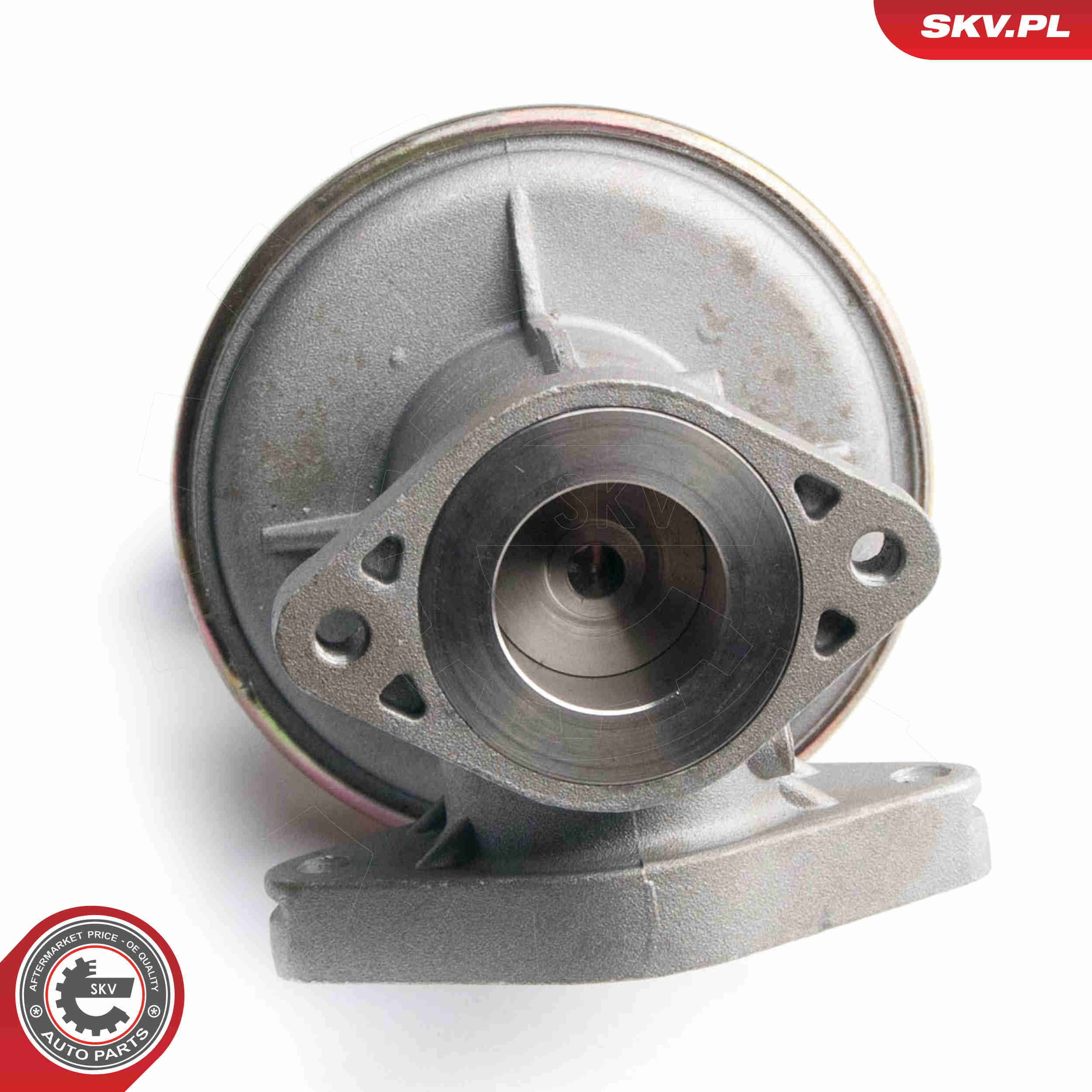 EGR Valve - 14SKV097 ESEN SKV