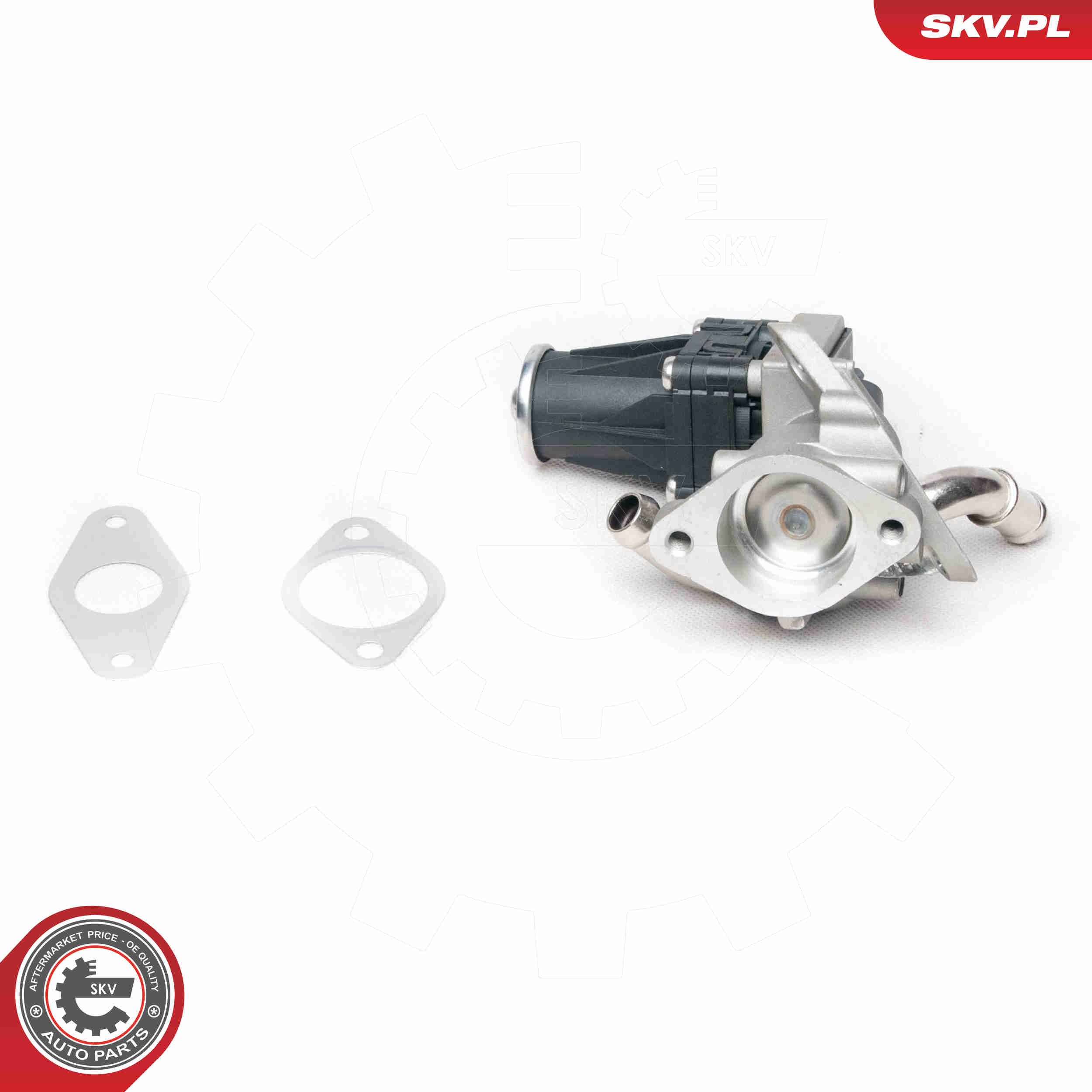 Valvola ricircolo gas scarico-EGR - 14SKV100 ESEN SKV