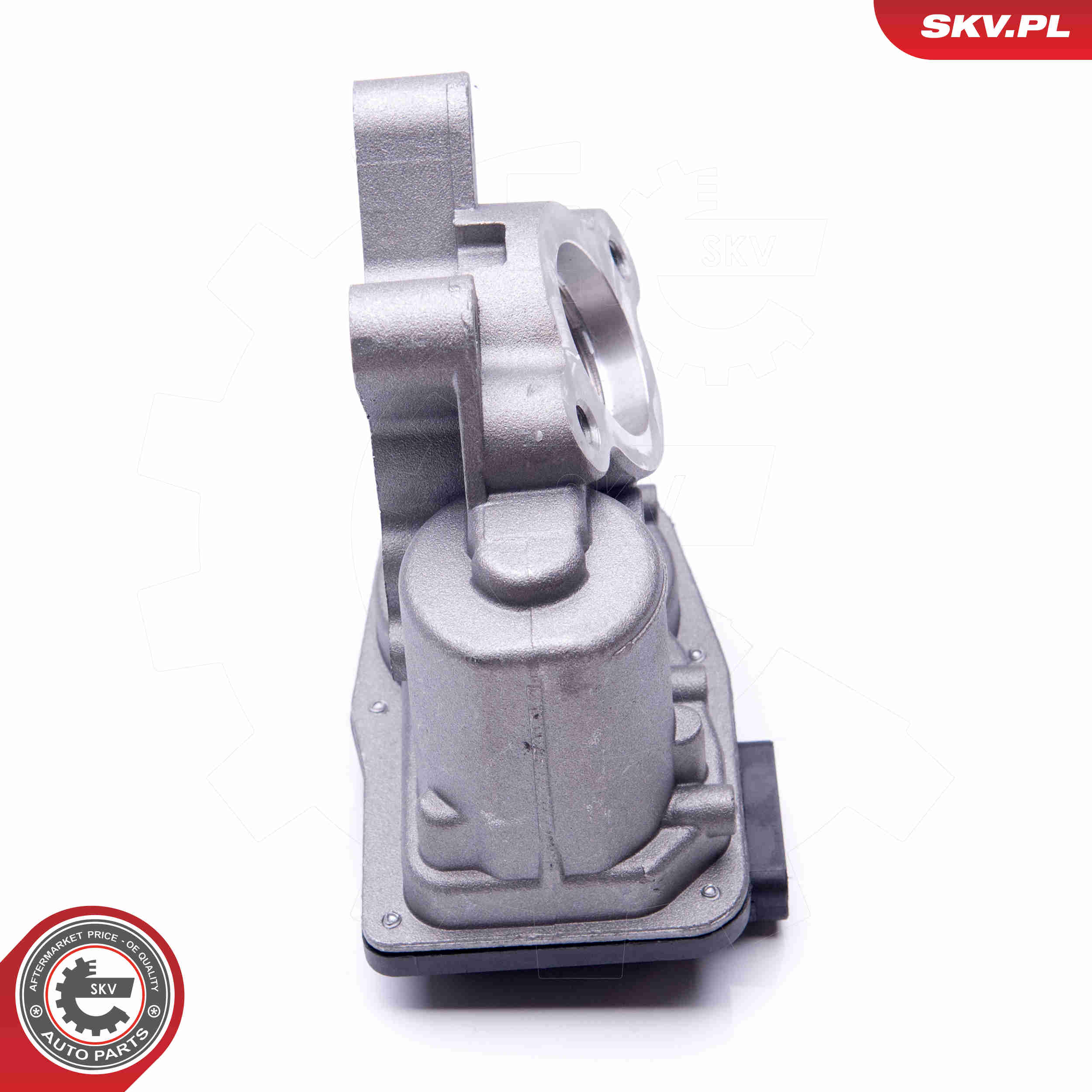 AGR-Ventil - 14SKV103 ESEN SKV