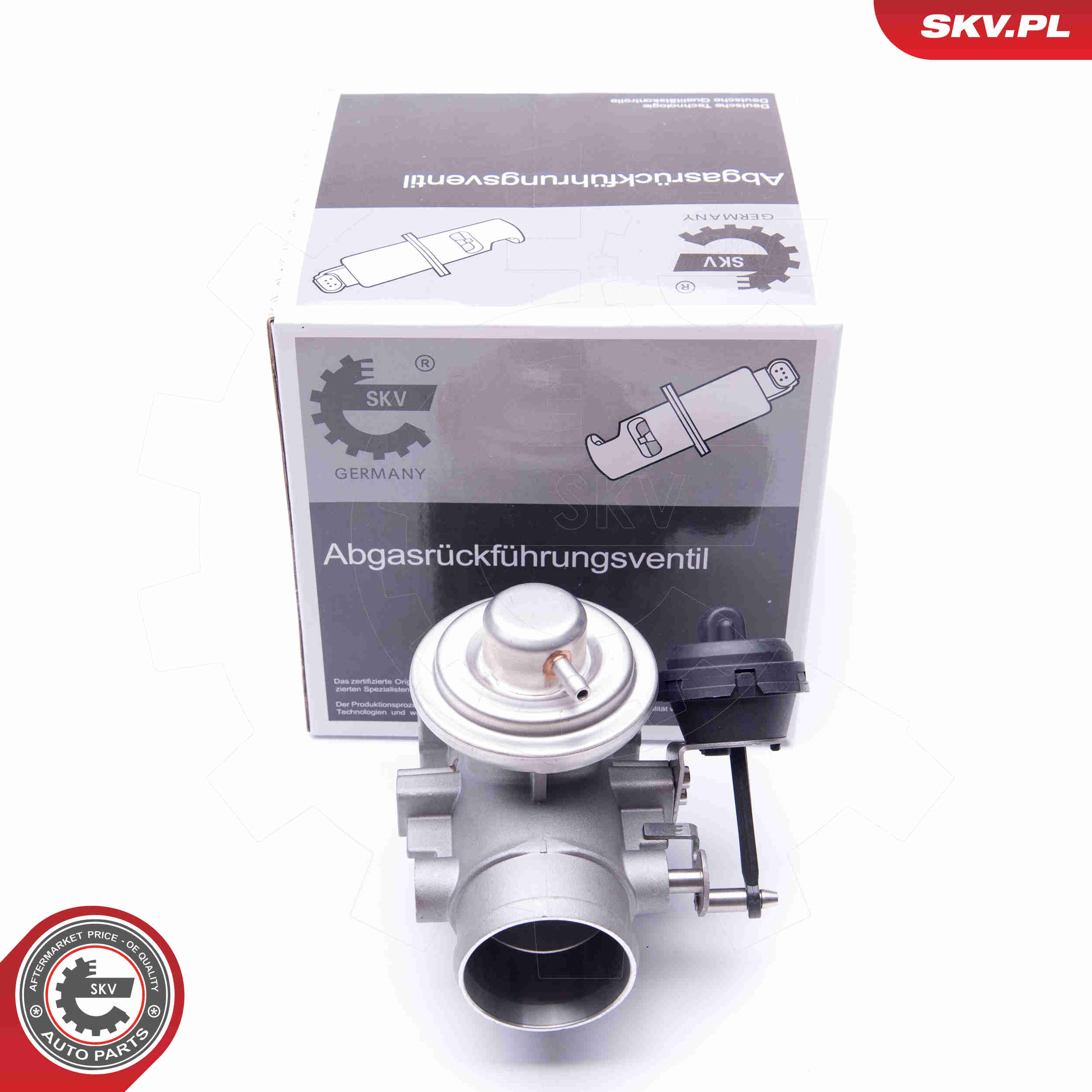 EGR Valve - 14SKV107 ESEN SKV