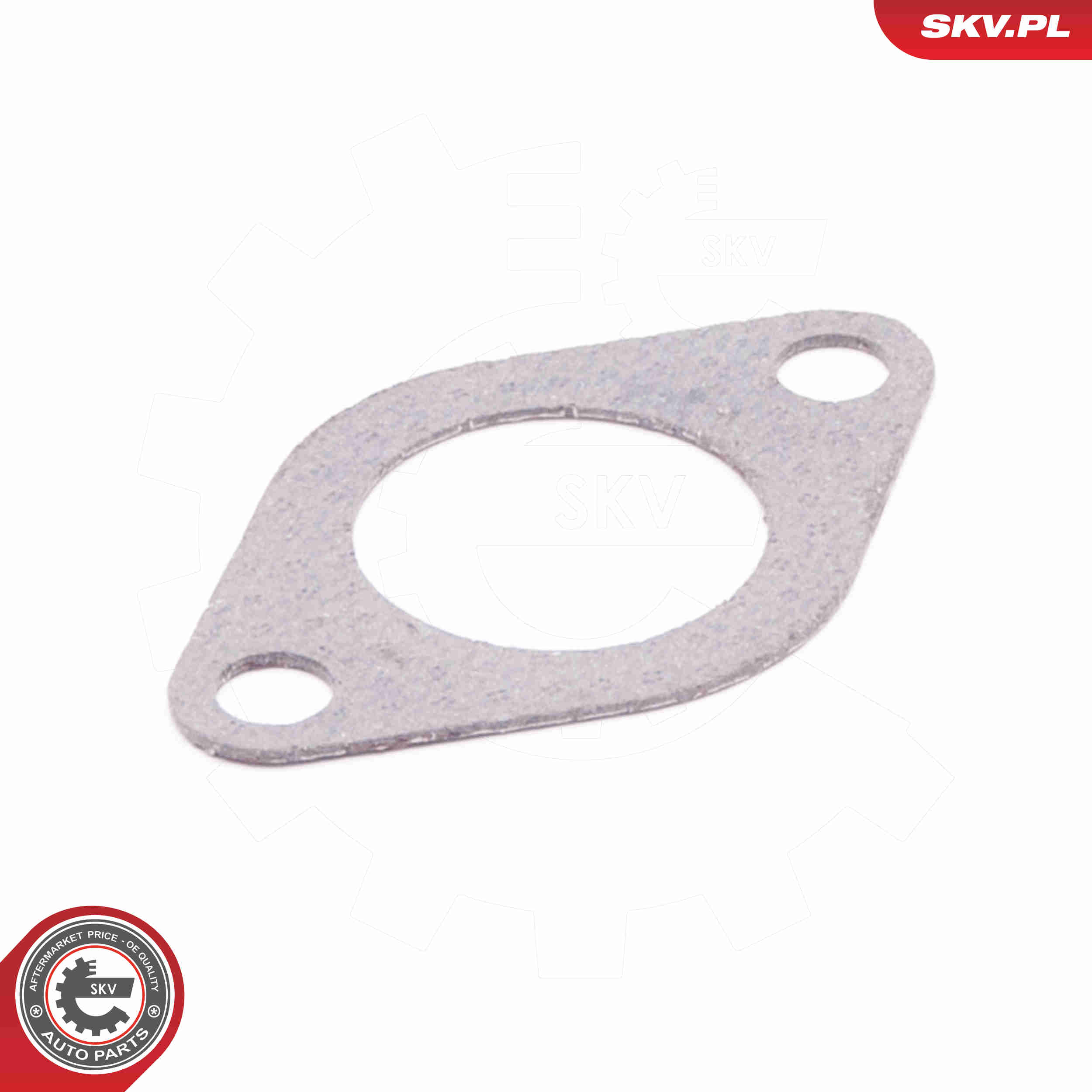 Seal, EGR valve - 14SKV110 ESEN SKV