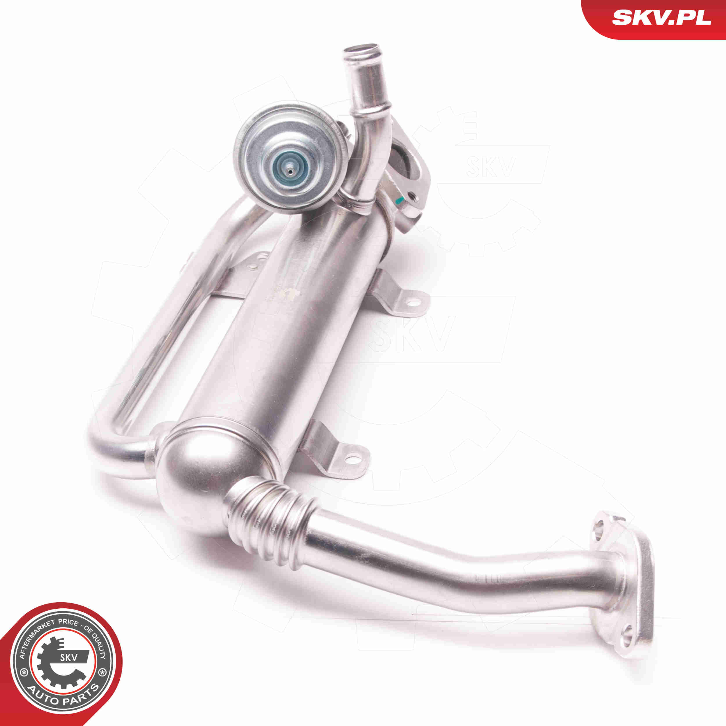 EGR Valve - 14SKV118 ESEN SKV