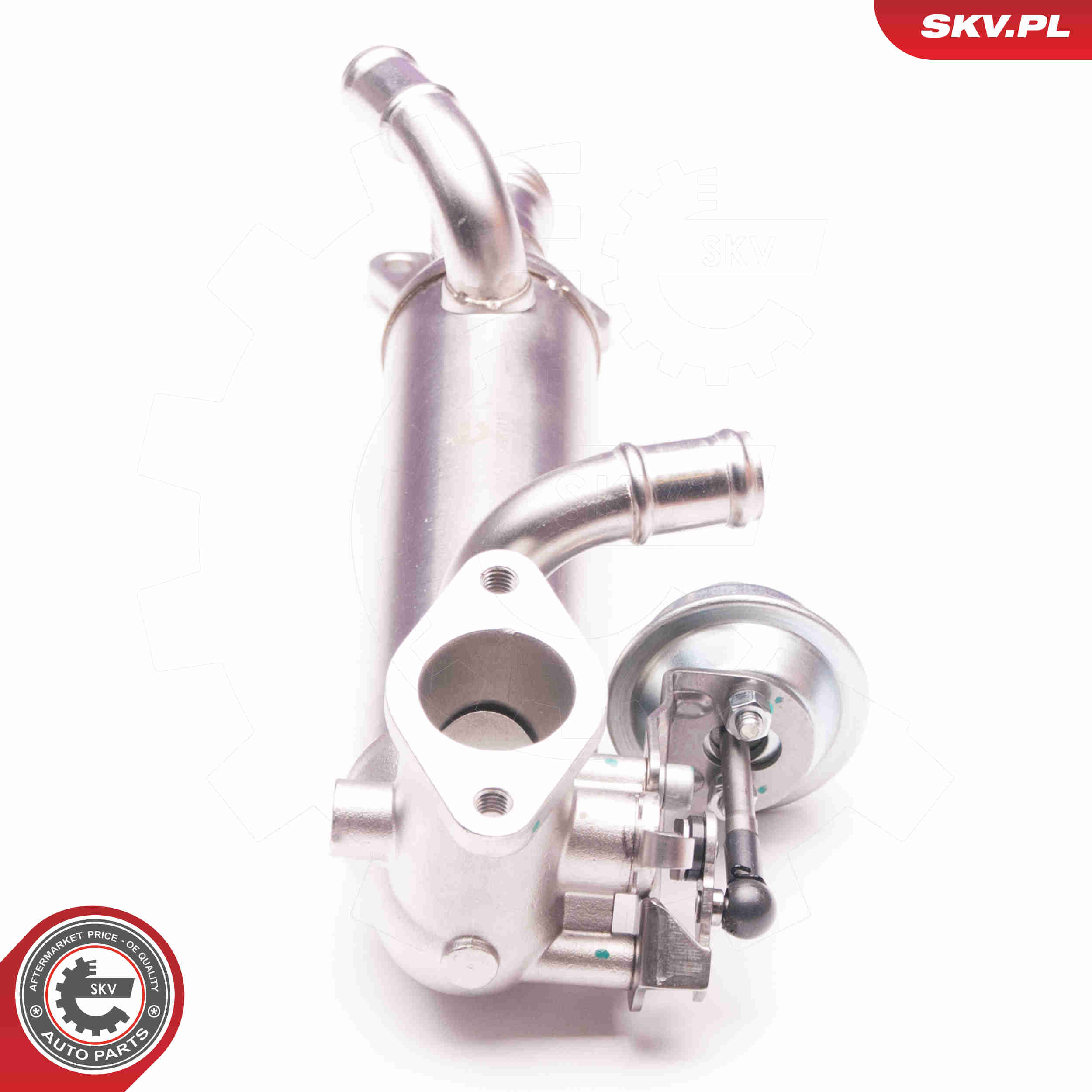 EGR Valve - 14SKV119 ESEN SKV