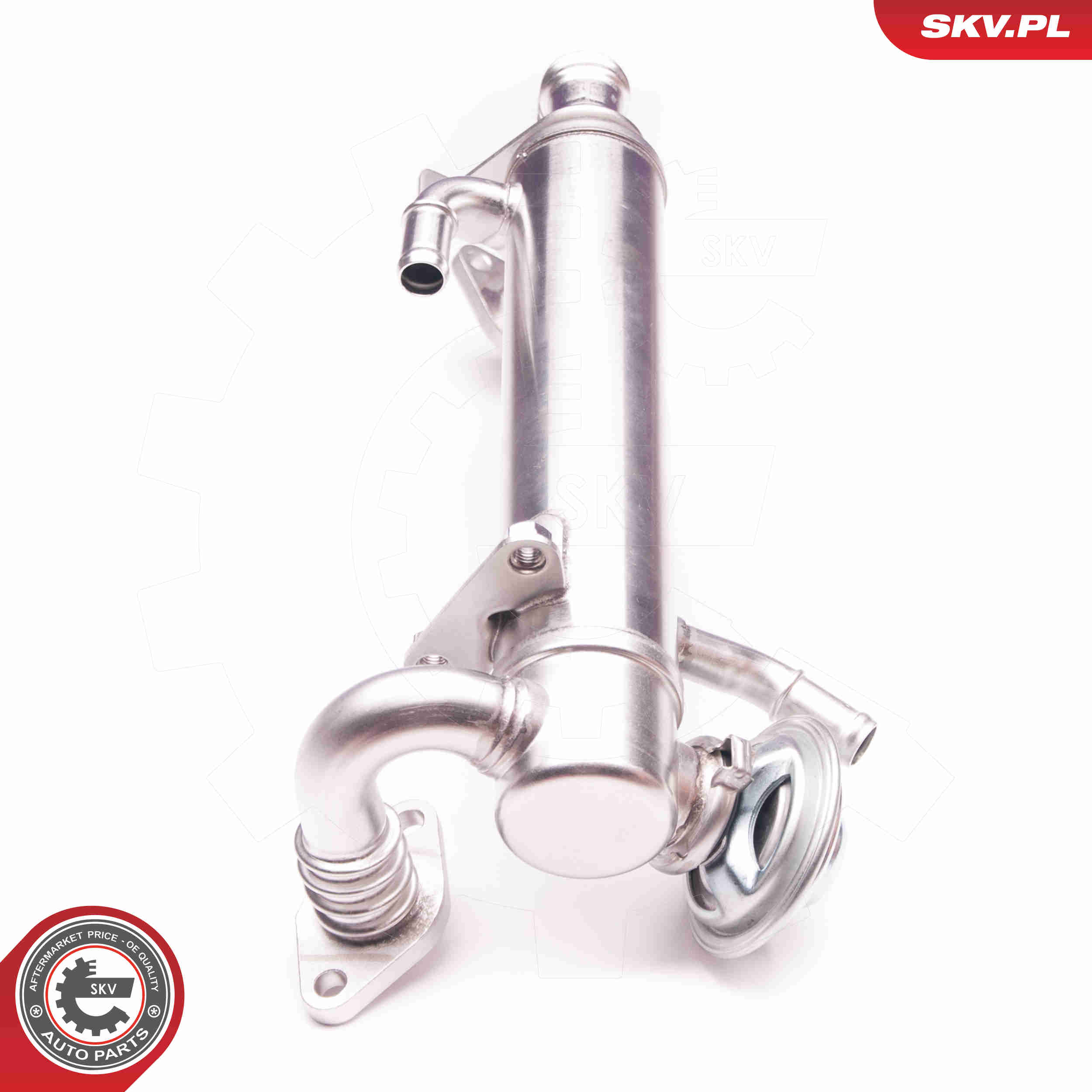 EGR Valve - 14SKV122 ESEN SKV