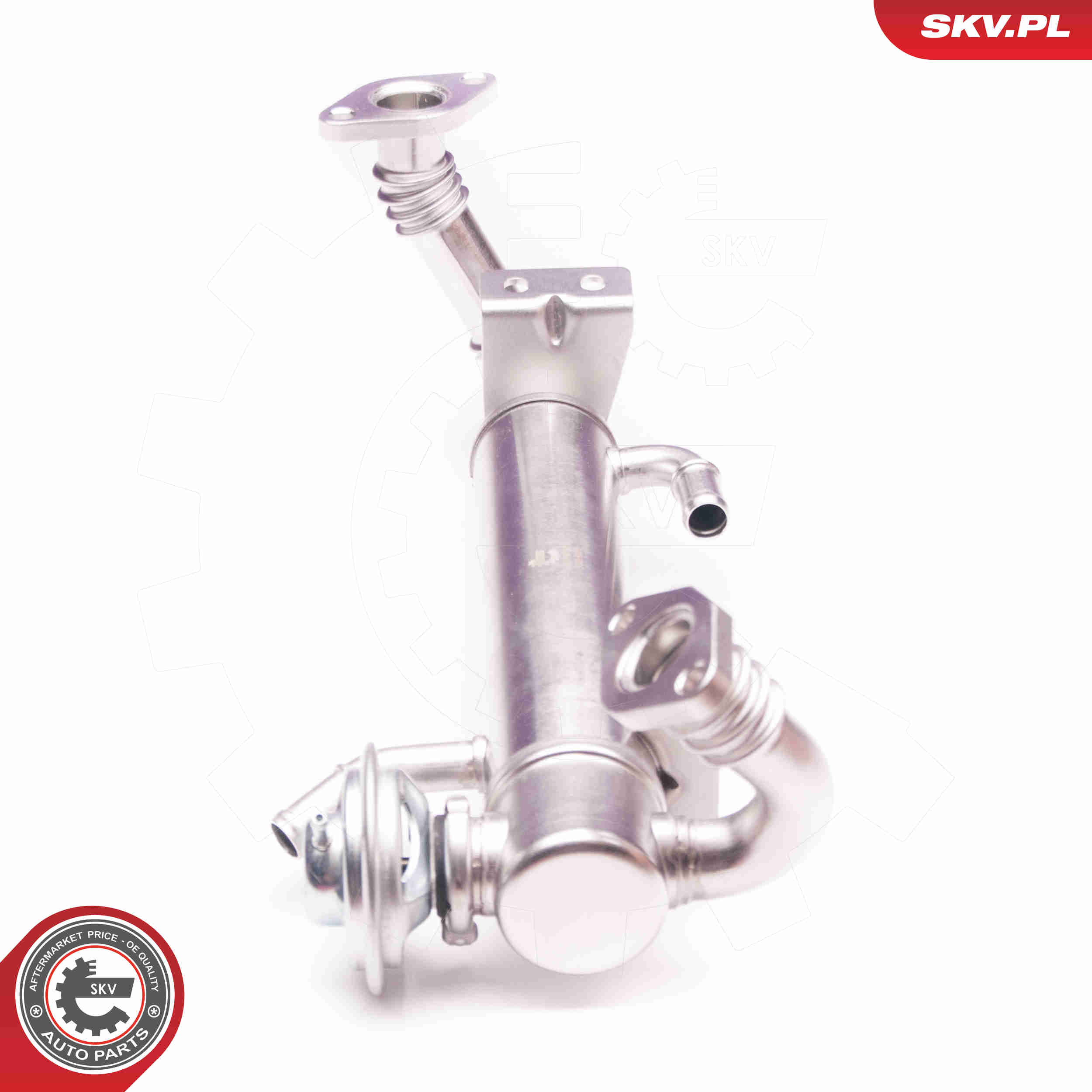 EGR Valve - 14SKV122 ESEN SKV