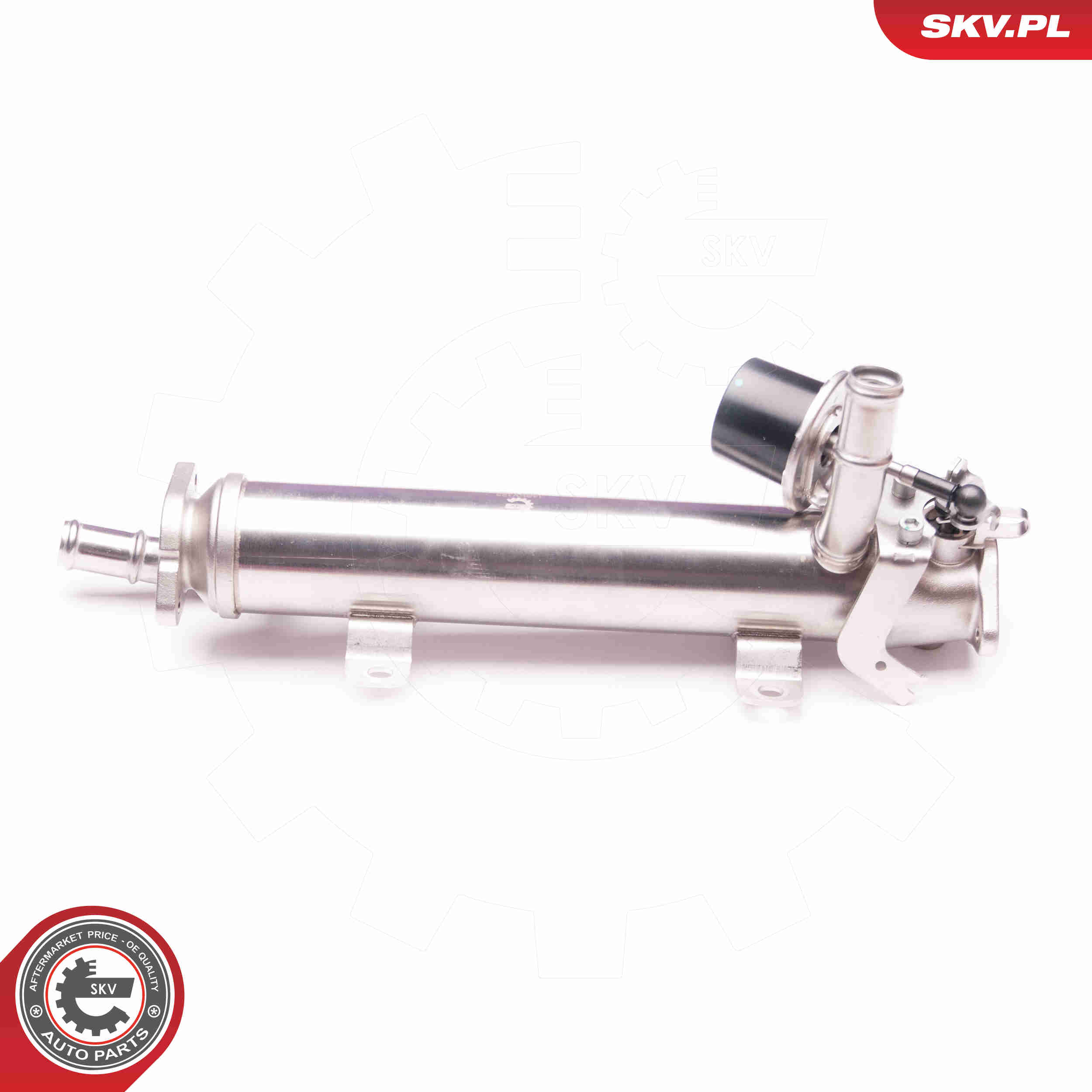 Valvola ricircolo gas scarico-EGR - 14SKV123 ESEN SKV