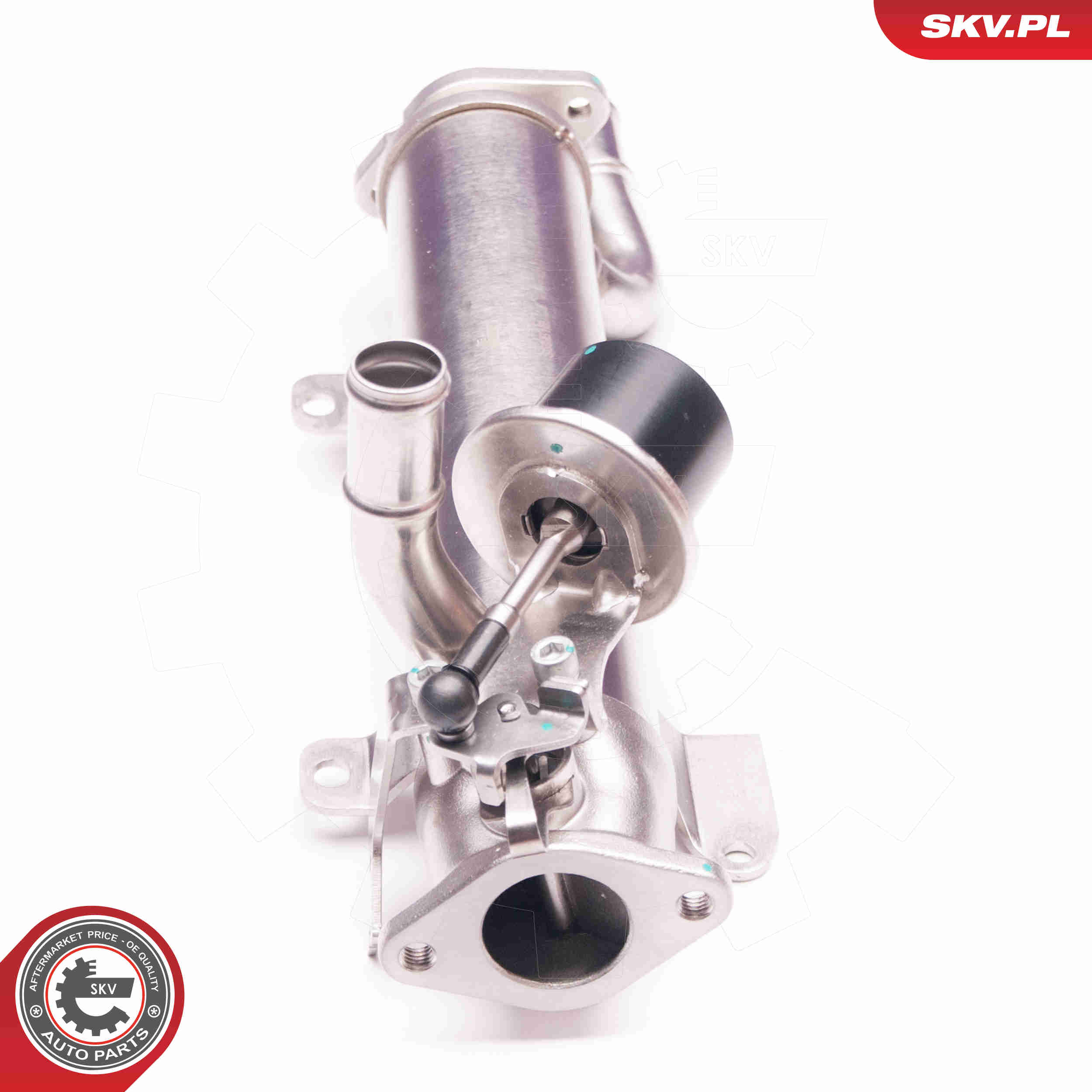 EGR Valve - 14SKV123 ESEN SKV