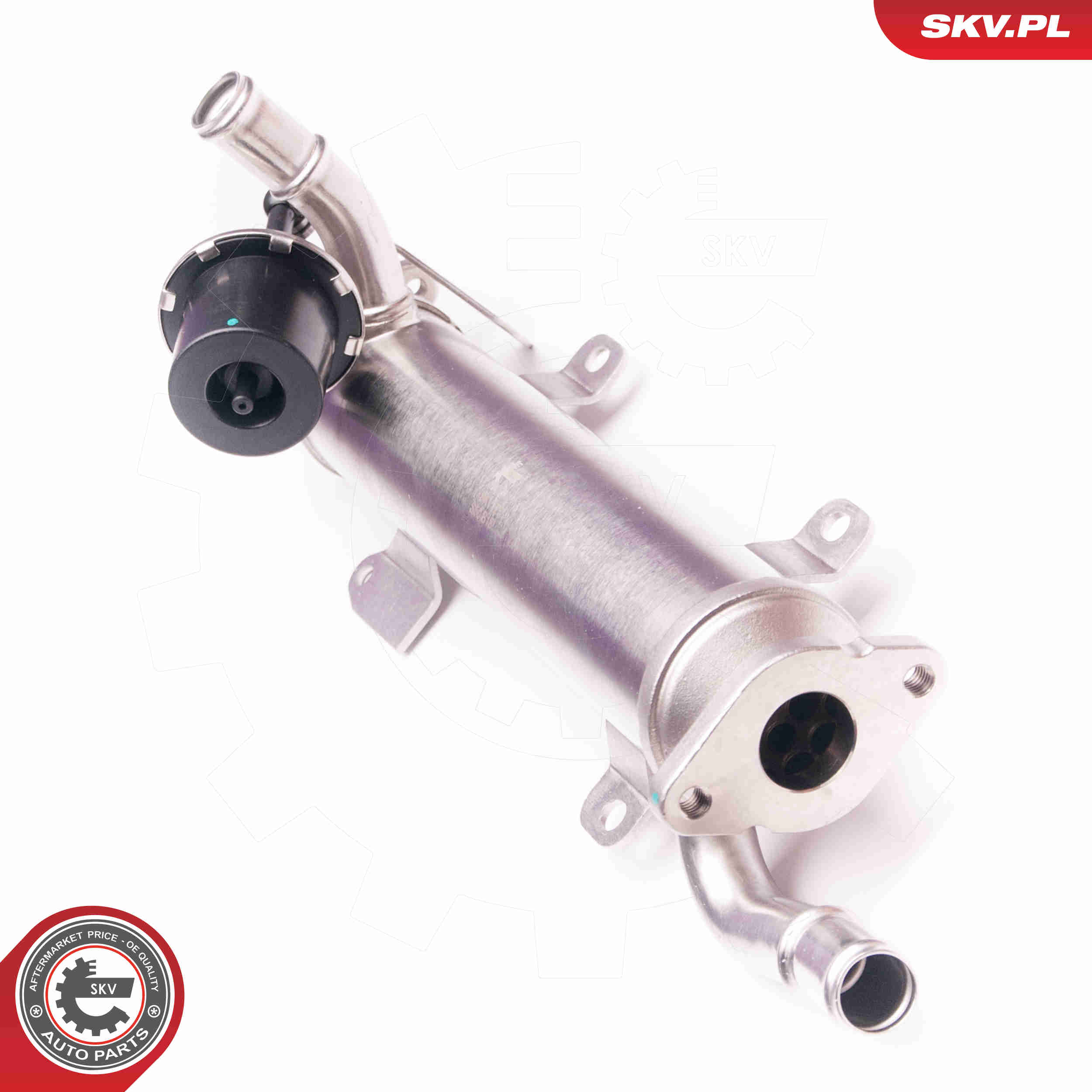 EGR Valve - 14SKV123 ESEN SKV
