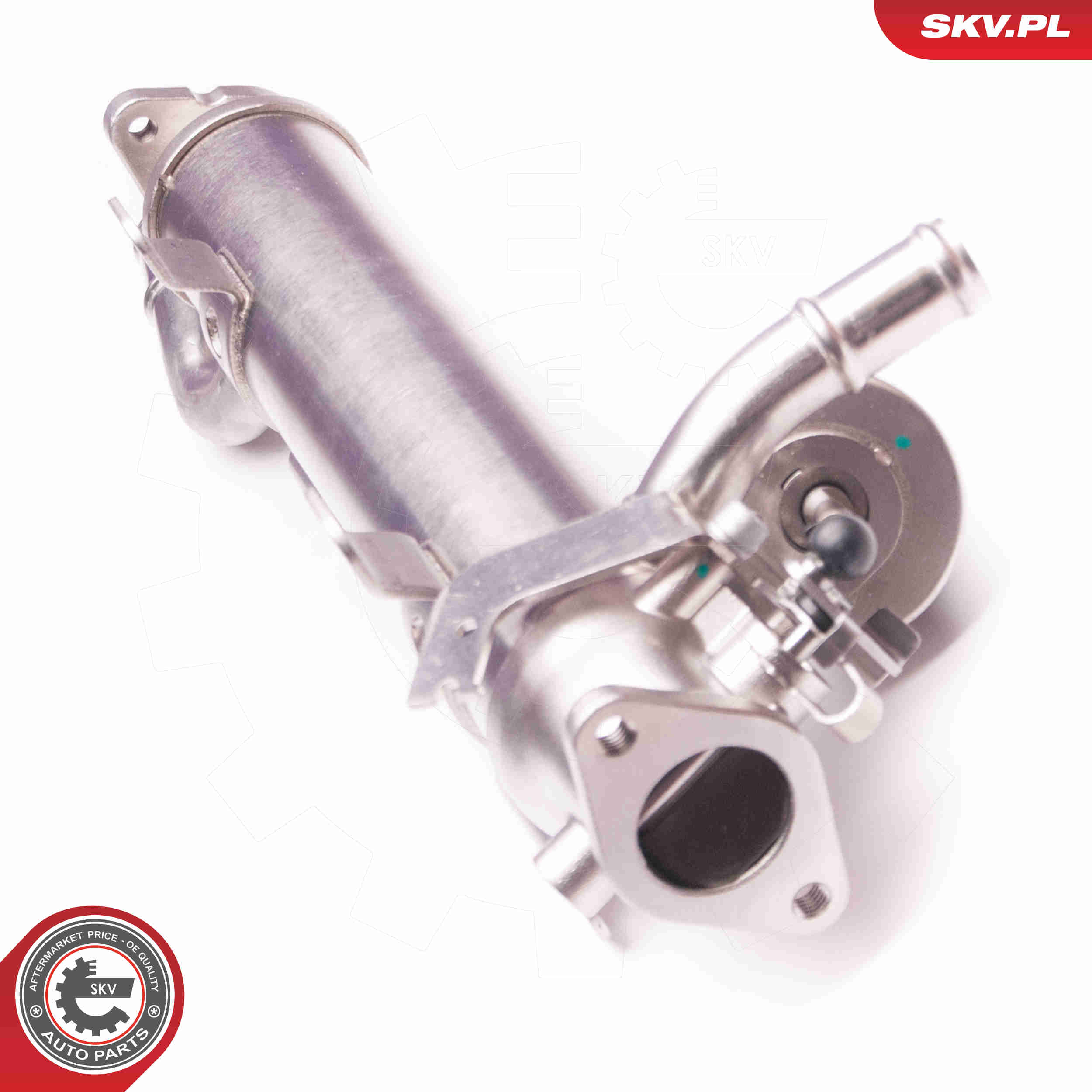 EGR Valve - 14SKV123 ESEN SKV
