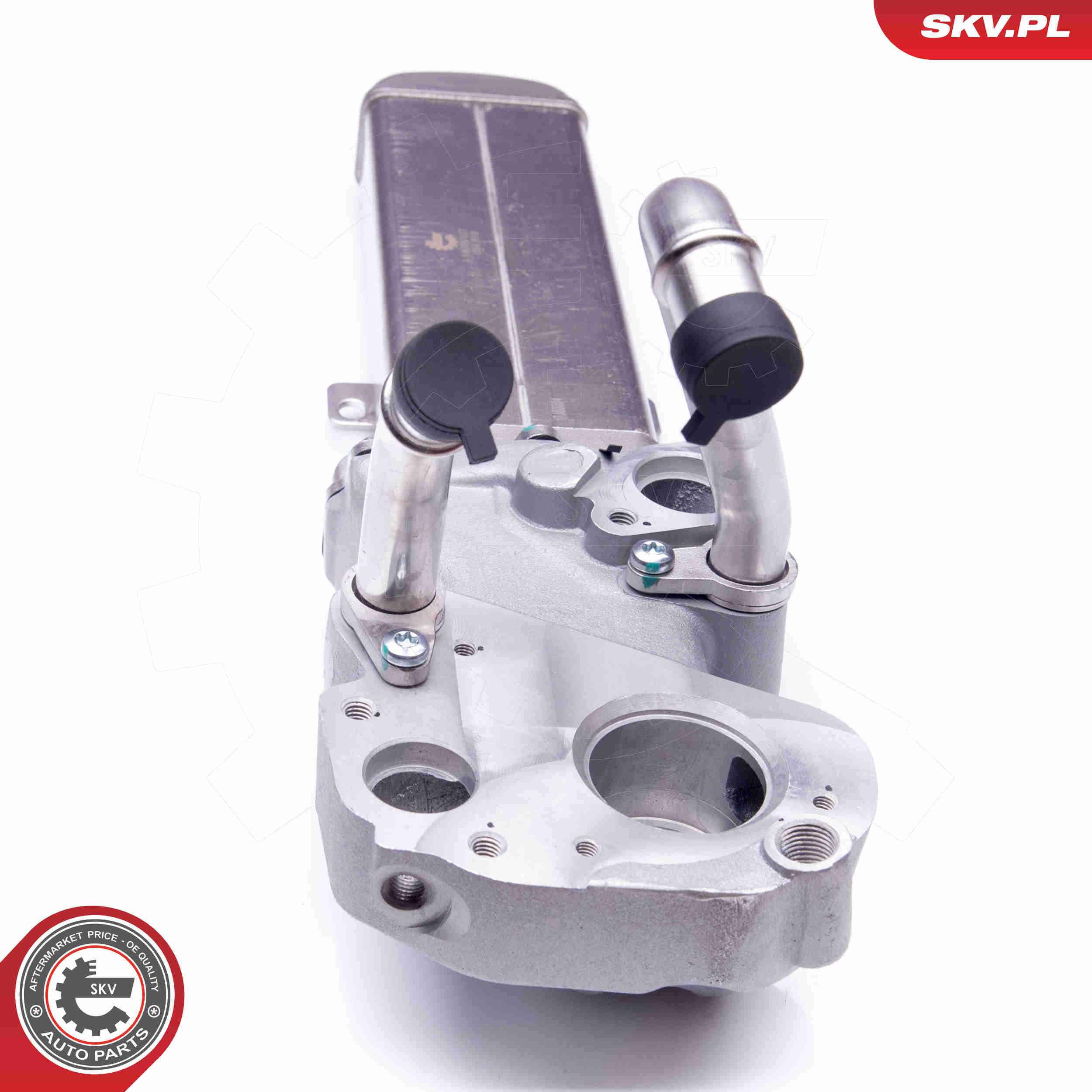EGR Valve - 14SKV137 ESEN SKV