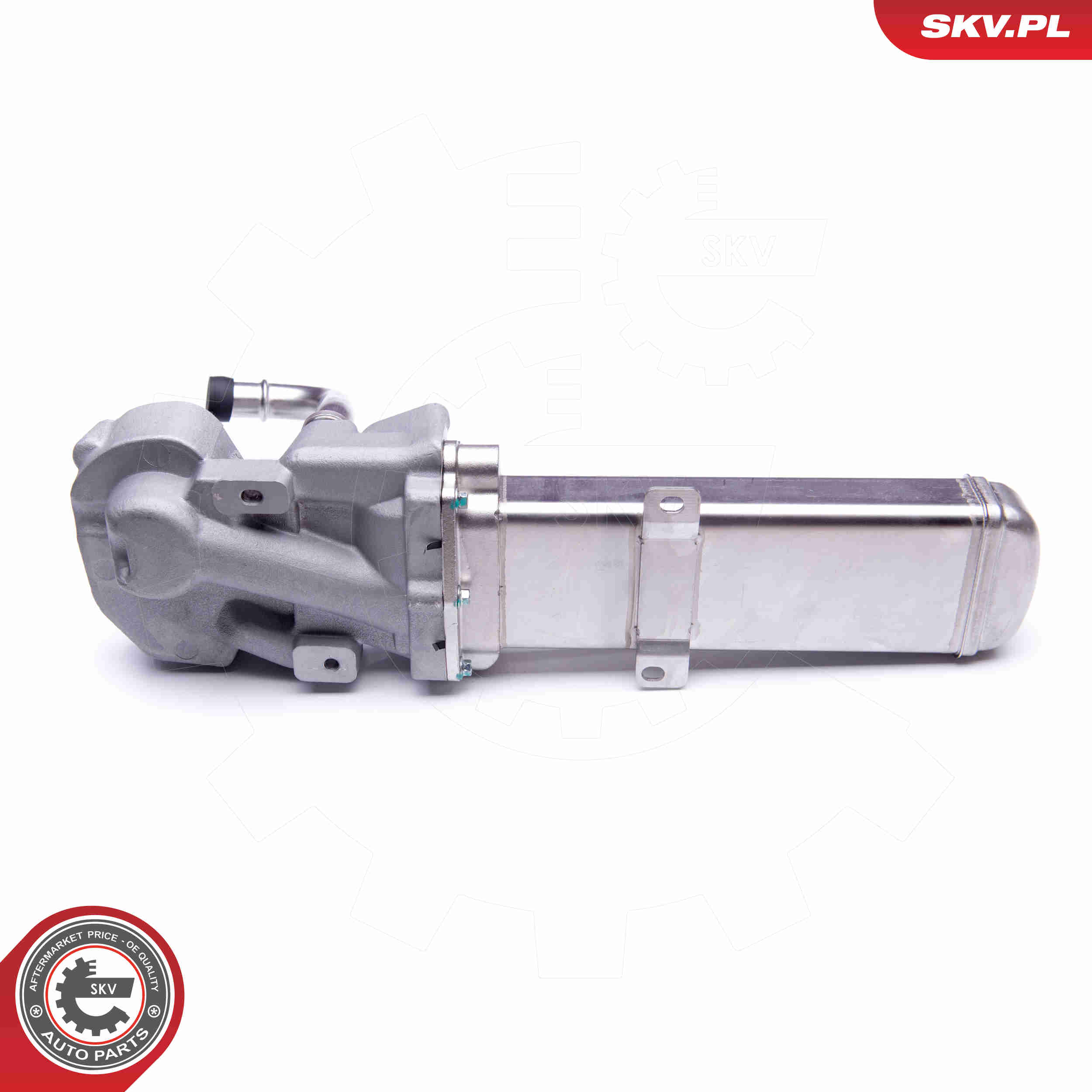 EGR Valve - 14SKV137 ESEN SKV