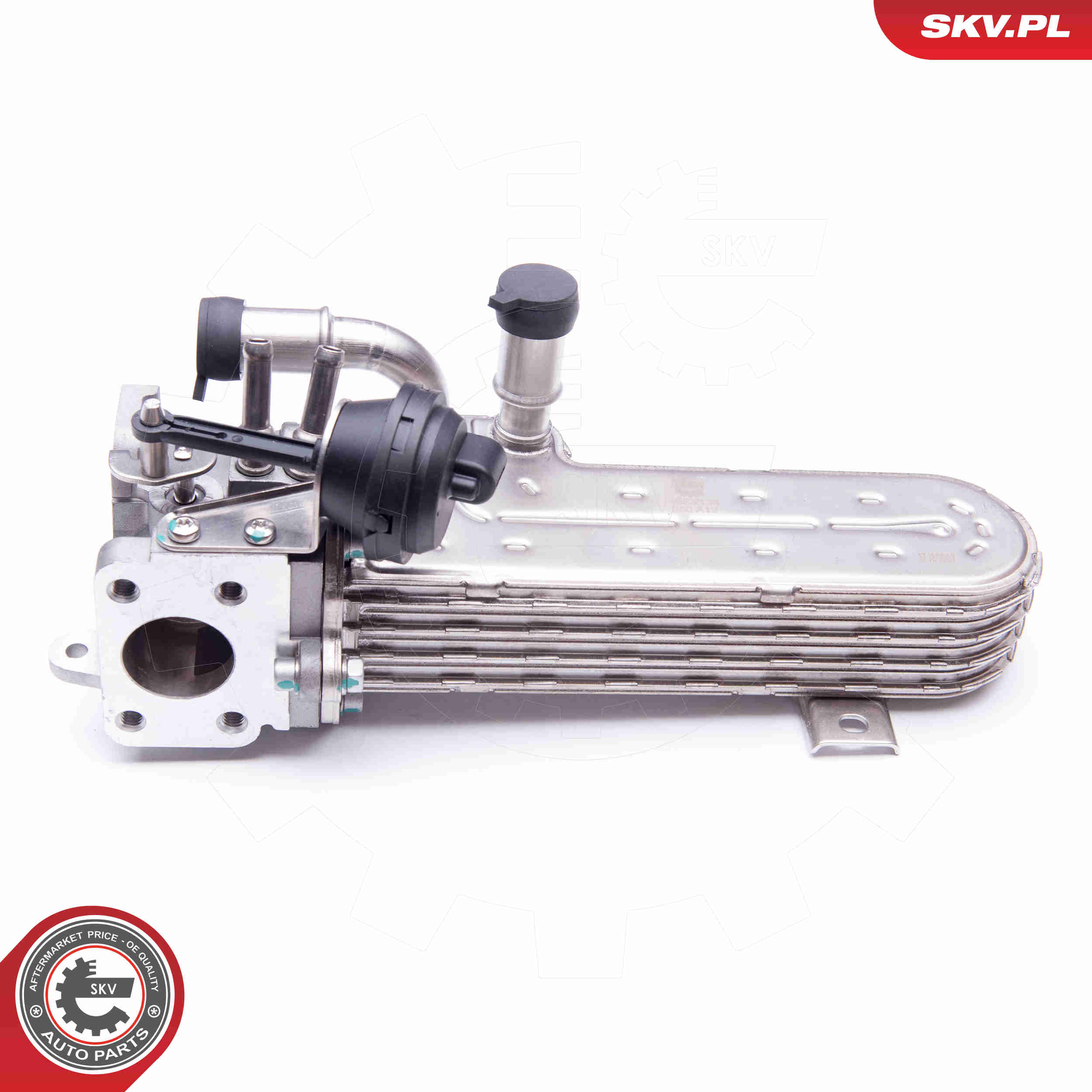 Radiatore, Ricircolo gas scarico - 14SKV138 ESEN SKV