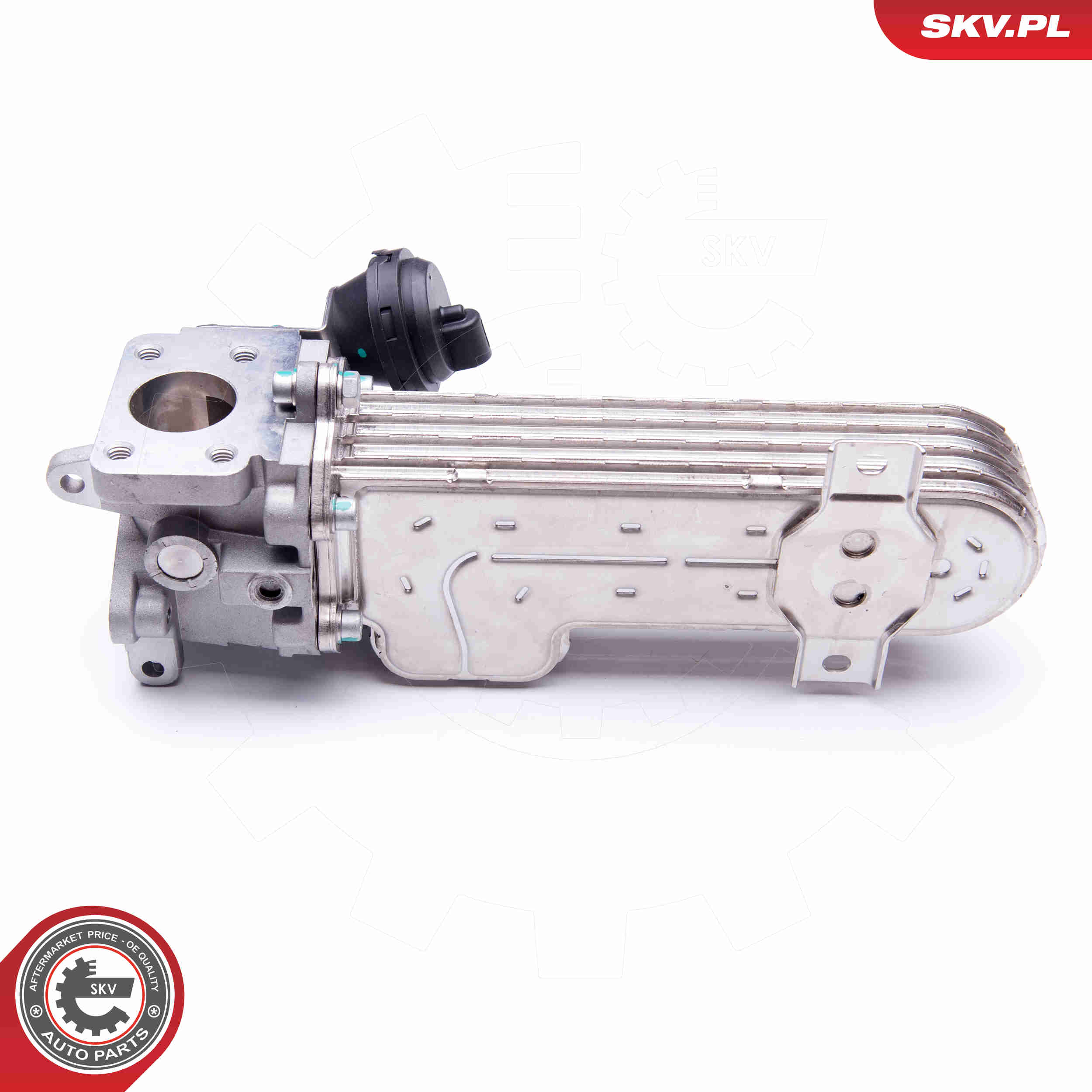 Radiatore, Ricircolo gas scarico - 14SKV138 ESEN SKV