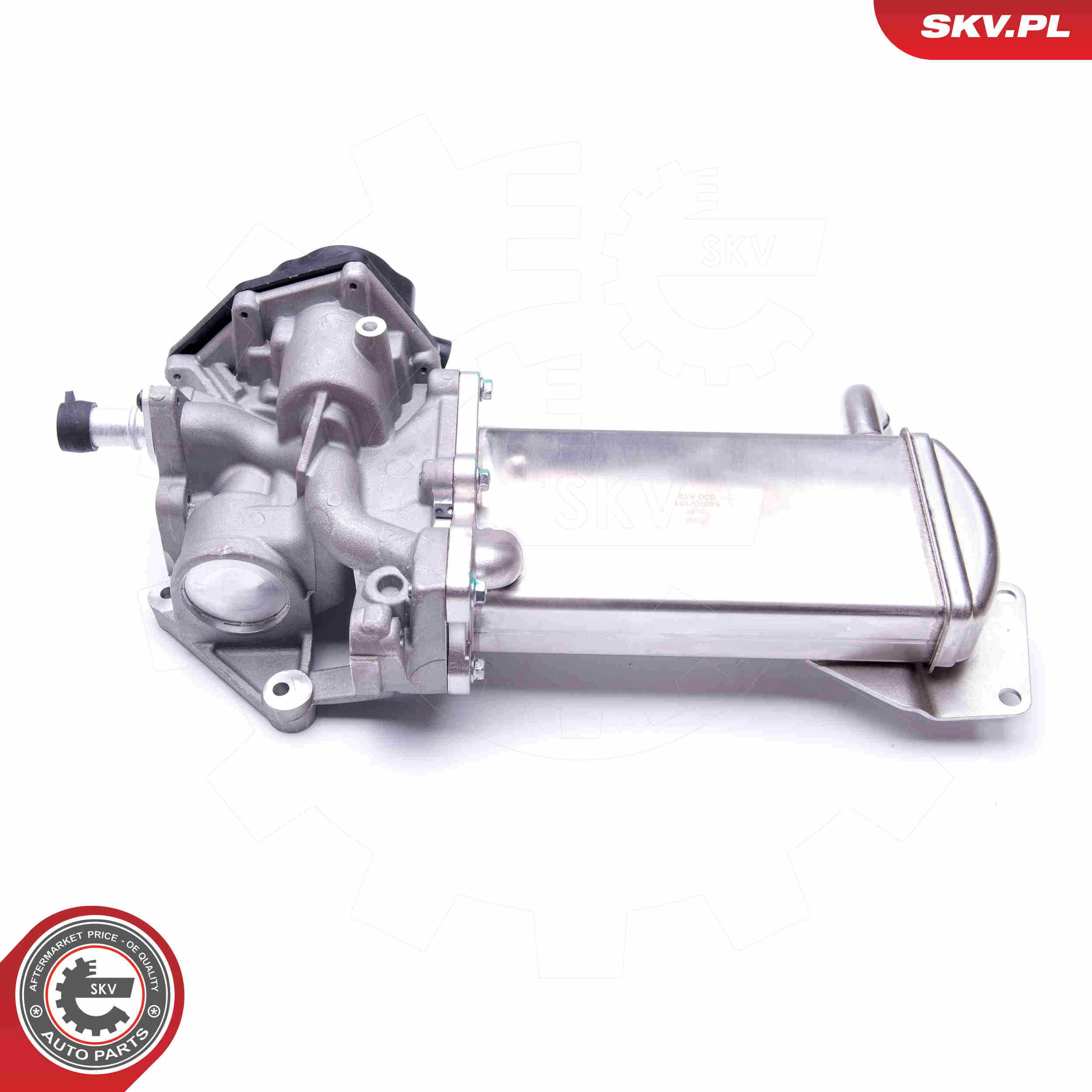 EGR Valve - 14SKV151 ESEN SKV