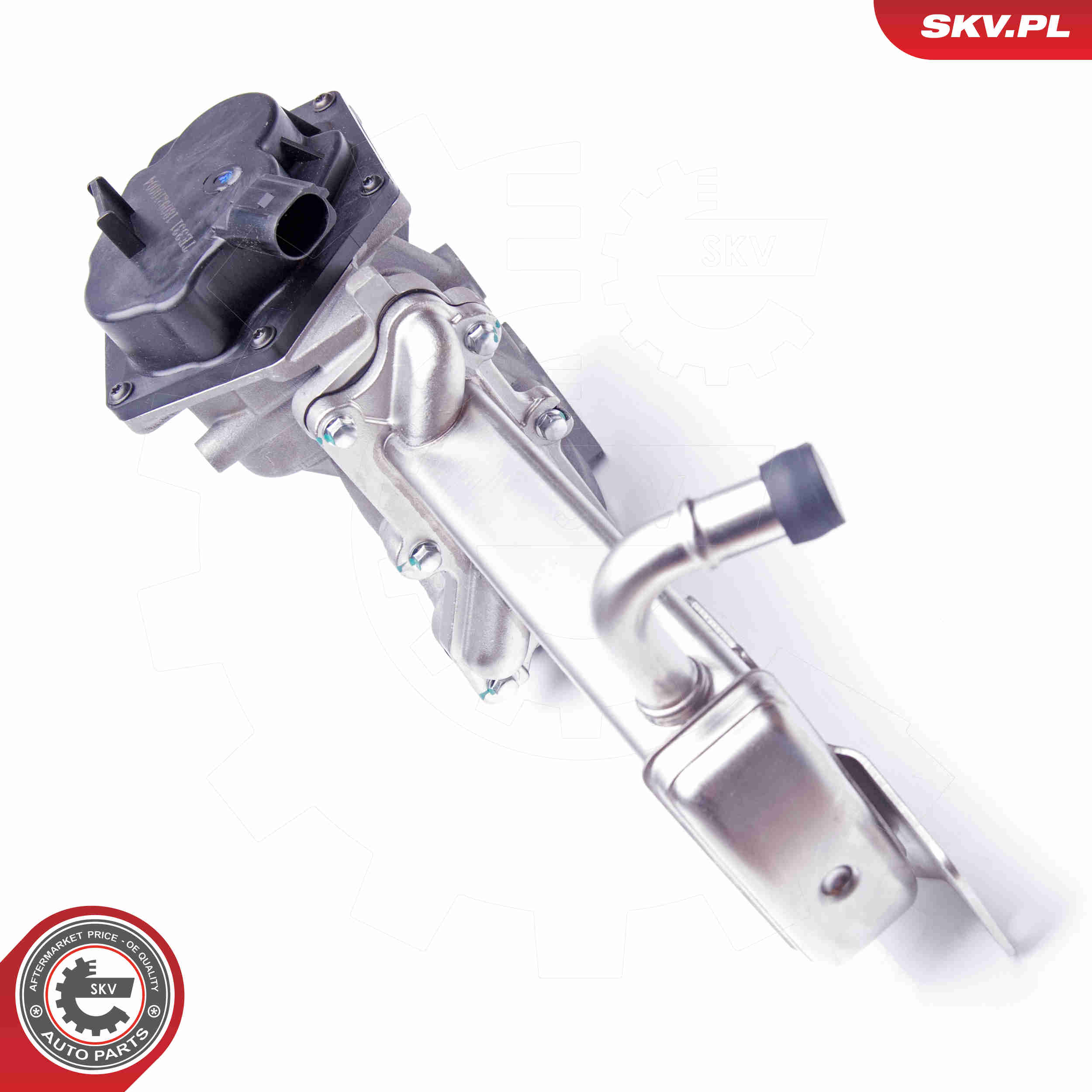 EGR Valve - 14SKV151 ESEN SKV