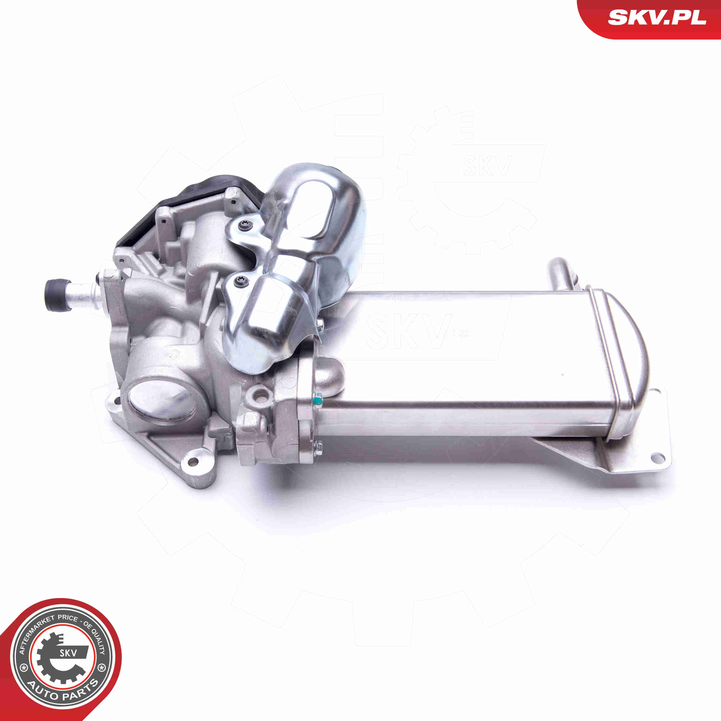 EGR Valve - 14SKV152 ESEN SKV
