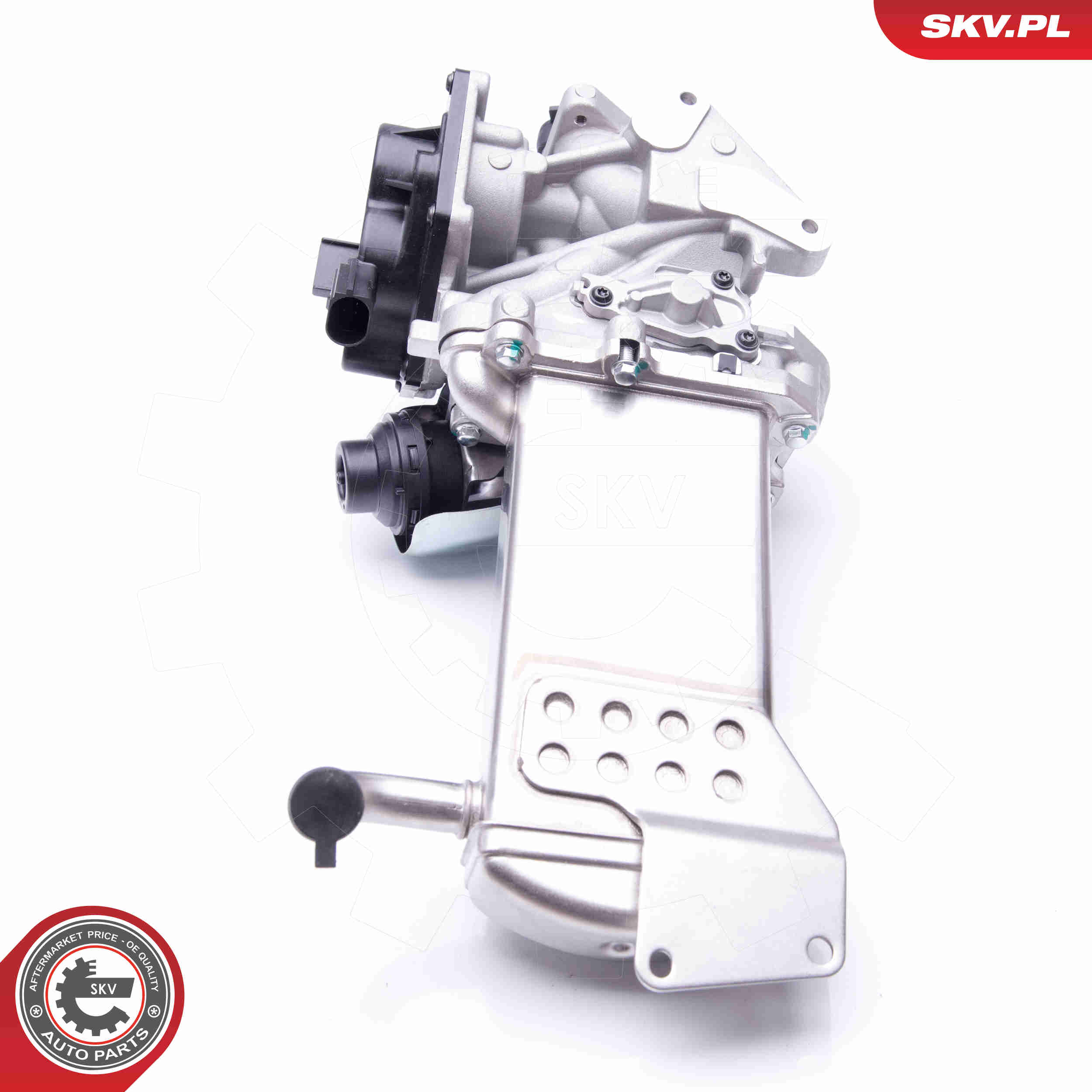 EGR Valve - 14SKV152 ESEN SKV