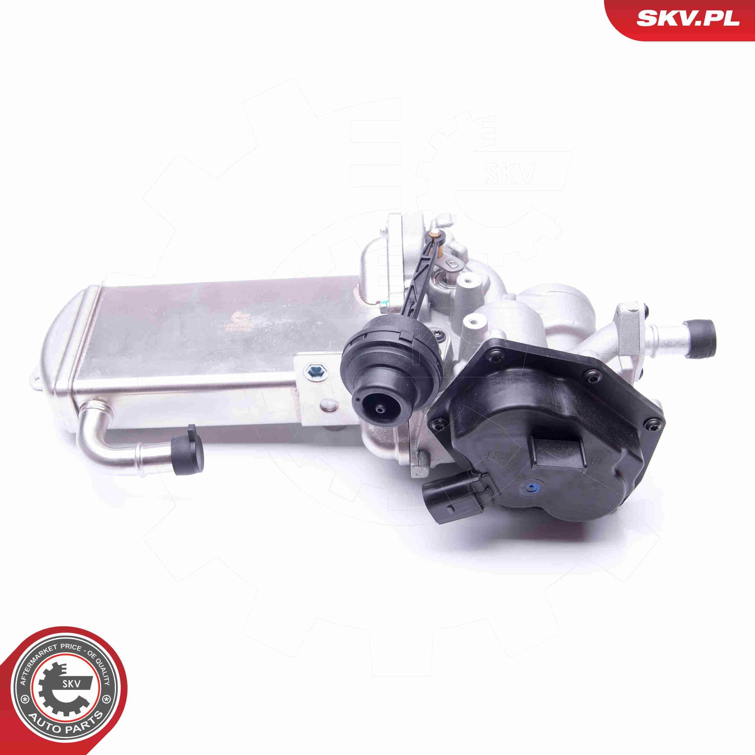 Valvola ricircolo gas scarico-EGR - 14SKV153 ESEN SKV