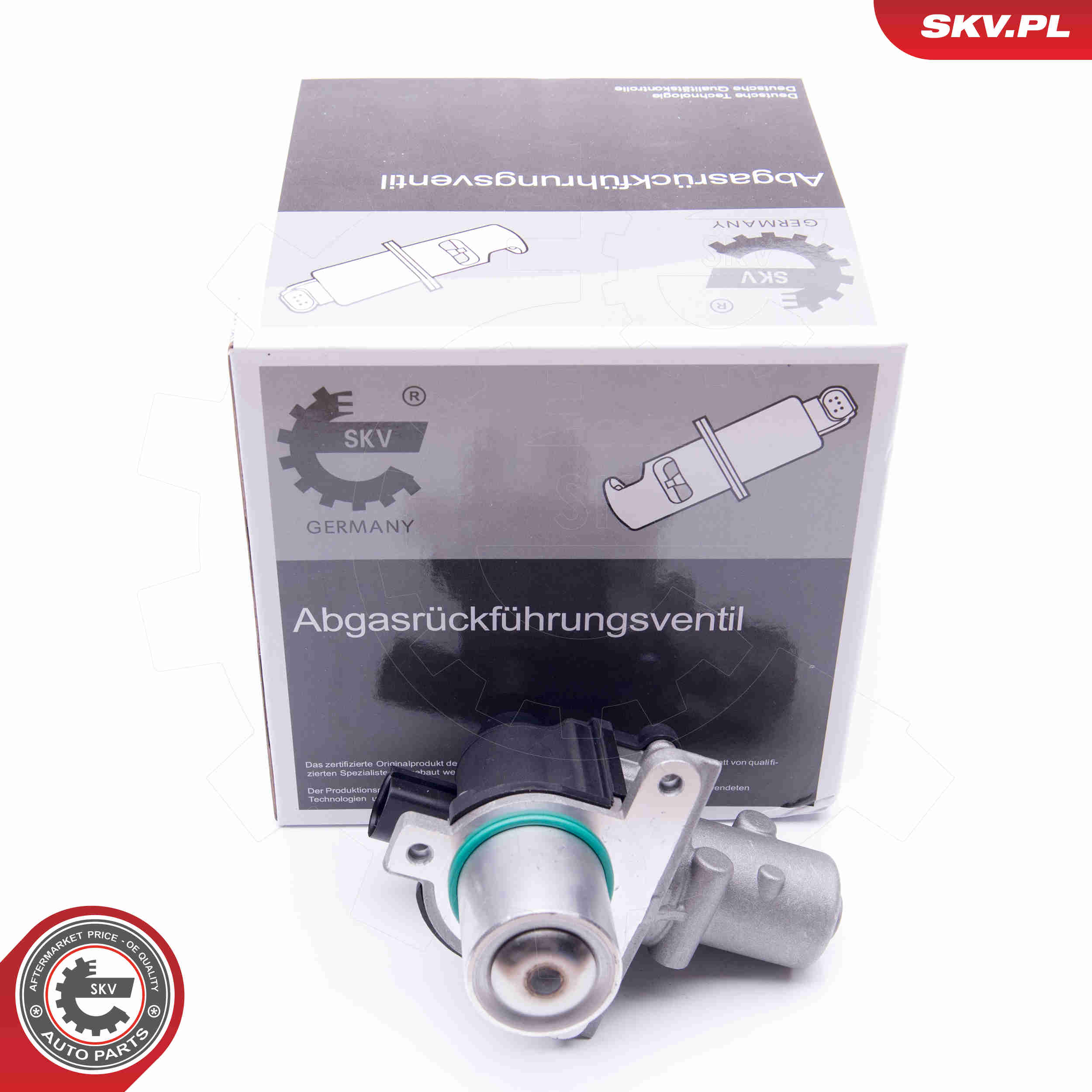 Valvola ricircolo gas scarico-EGR - 14SKV163 ESEN SKV