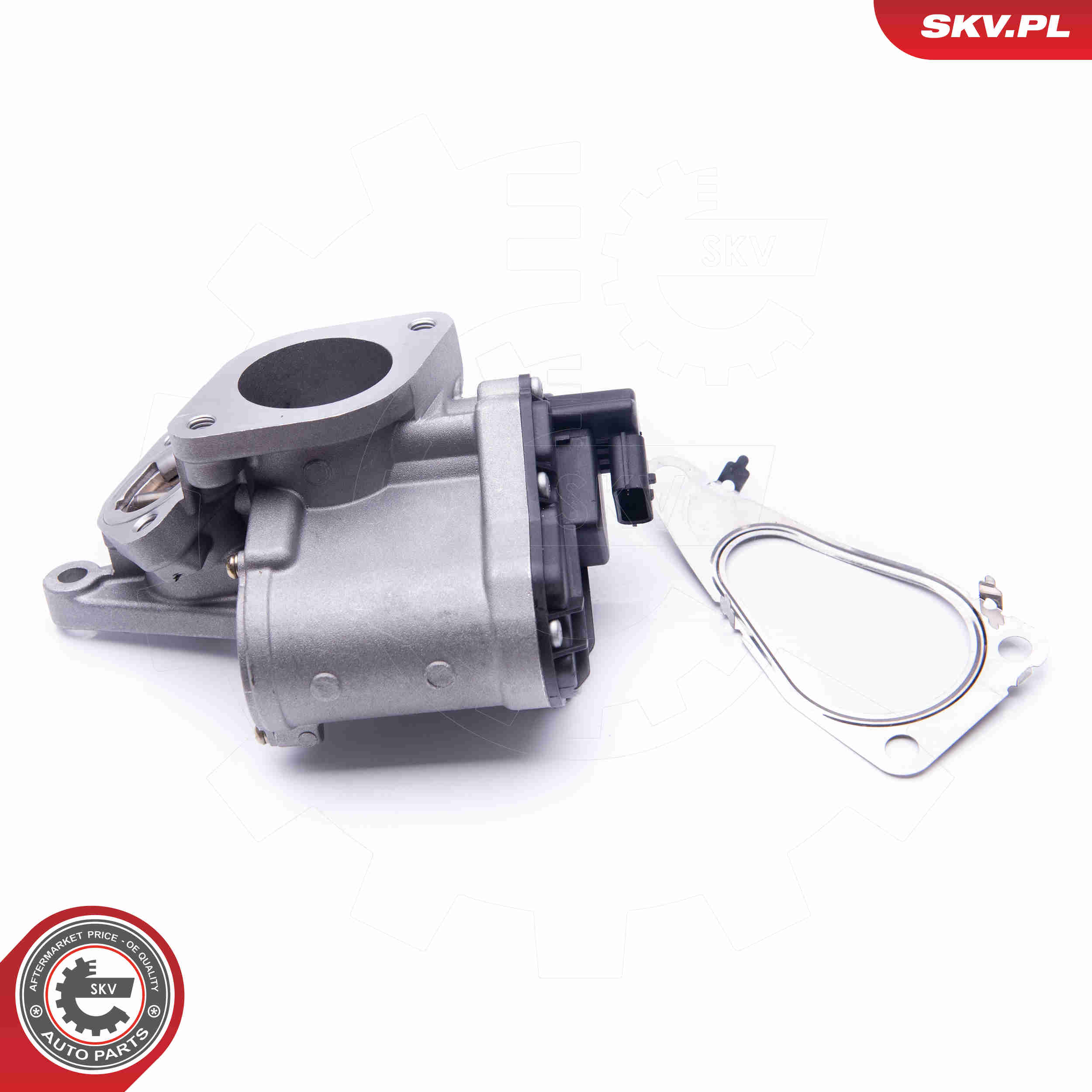 EGR Valve - 14SKV165 ESEN SKV
