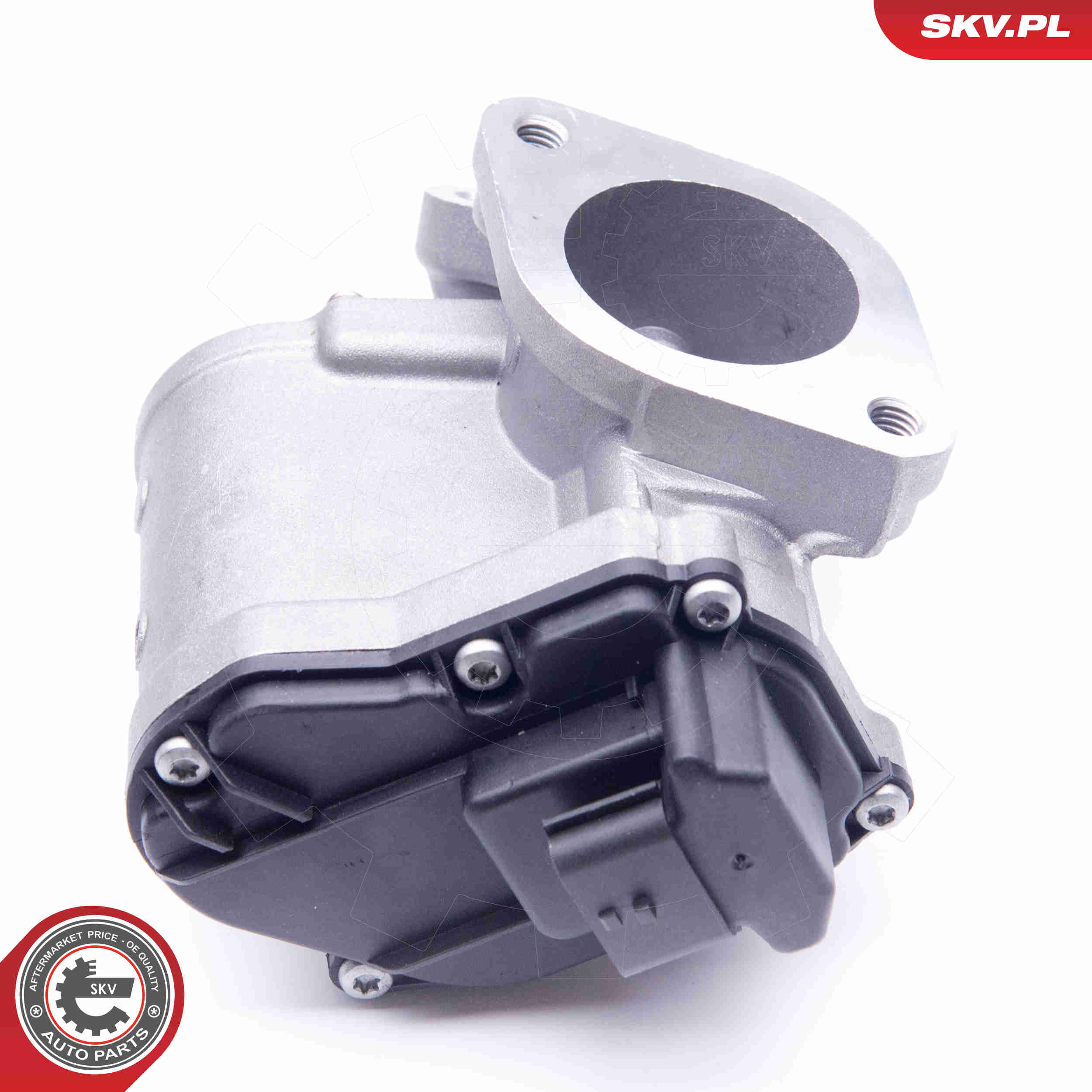EGR Valve - 14SKV165 ESEN SKV