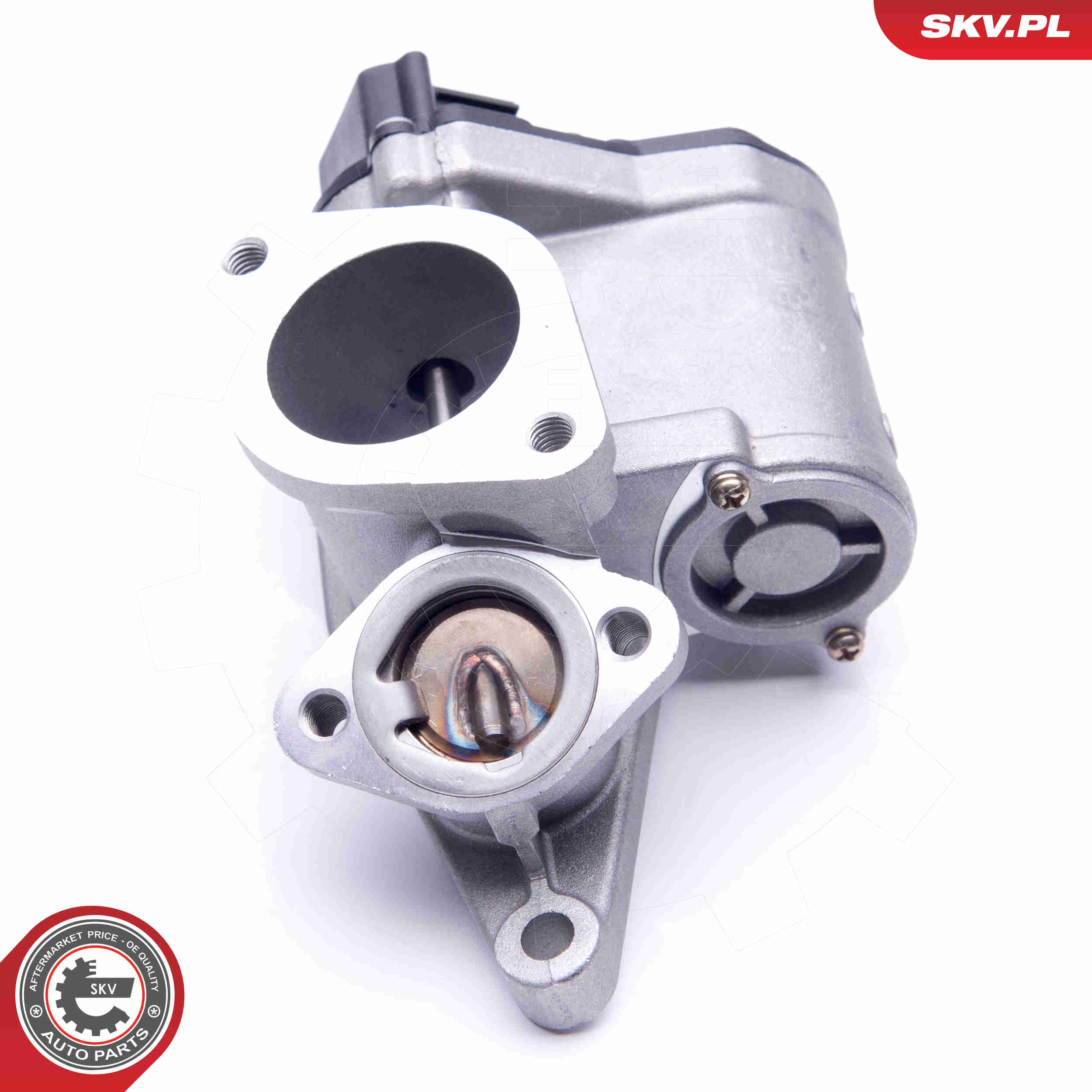 EGR Valve - 14SKV165 ESEN SKV