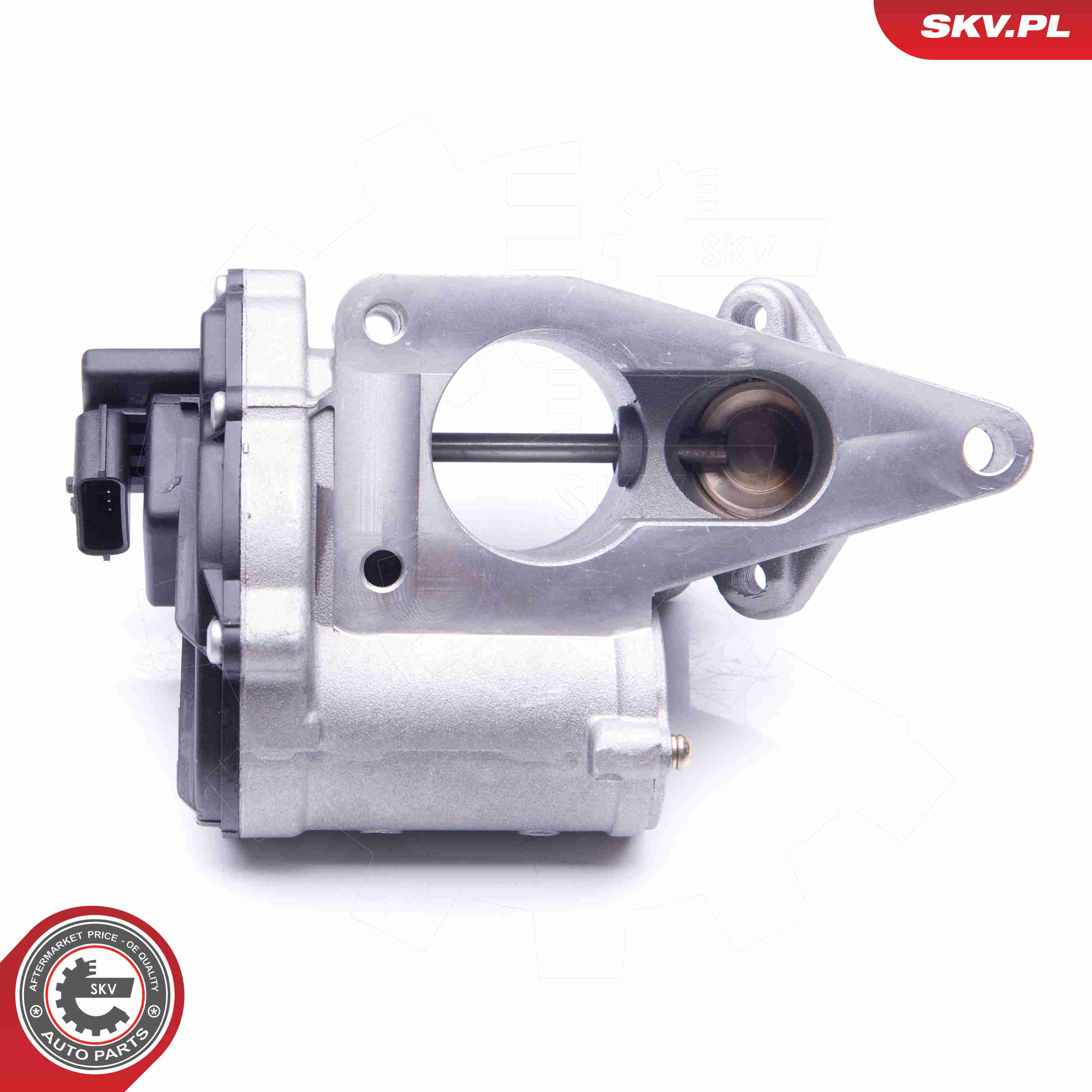 EGR Valve - 14SKV165 ESEN SKV