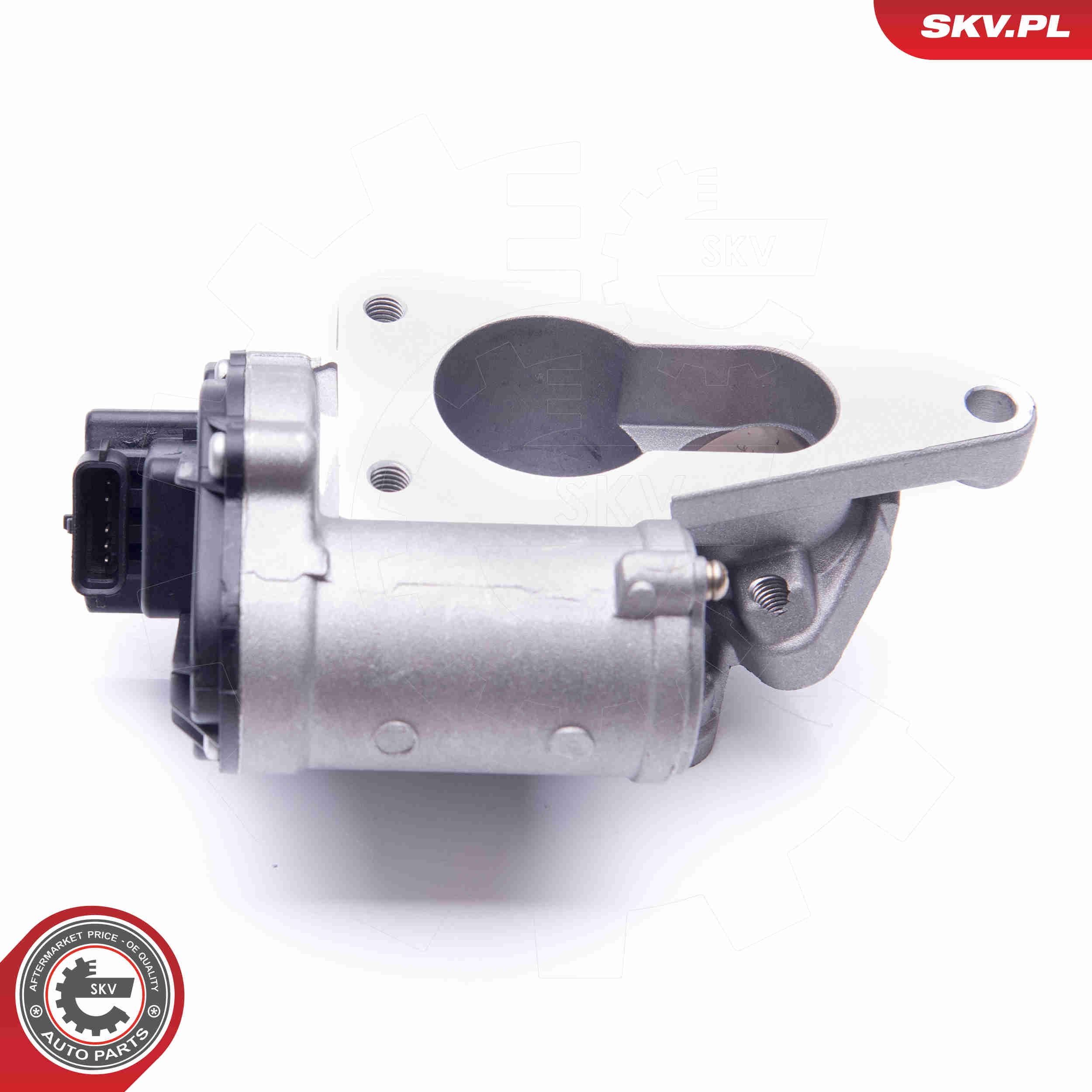 EGR Valve - 14SKV165 ESEN SKV