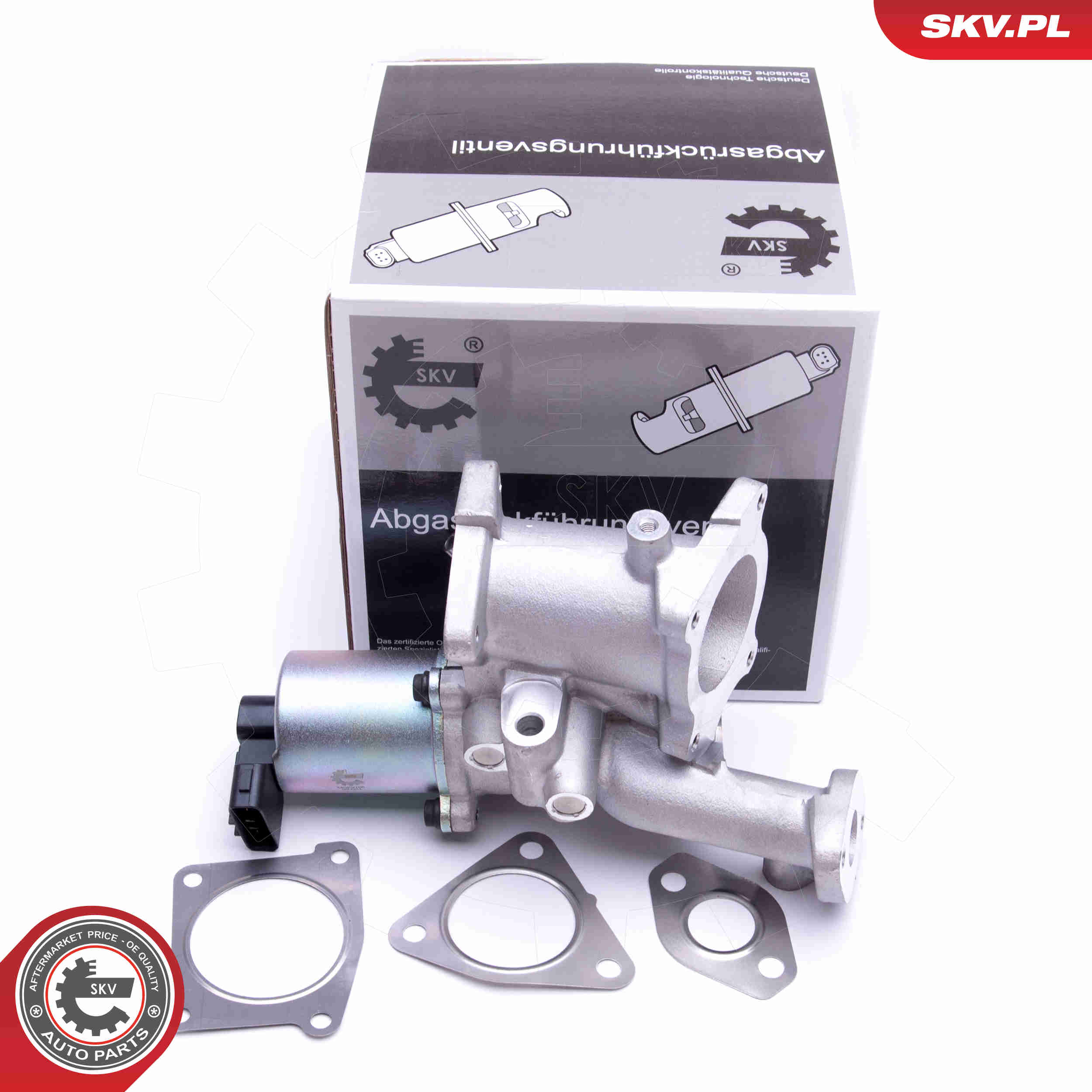 EGR Valve - 14SKV166 ESEN SKV
