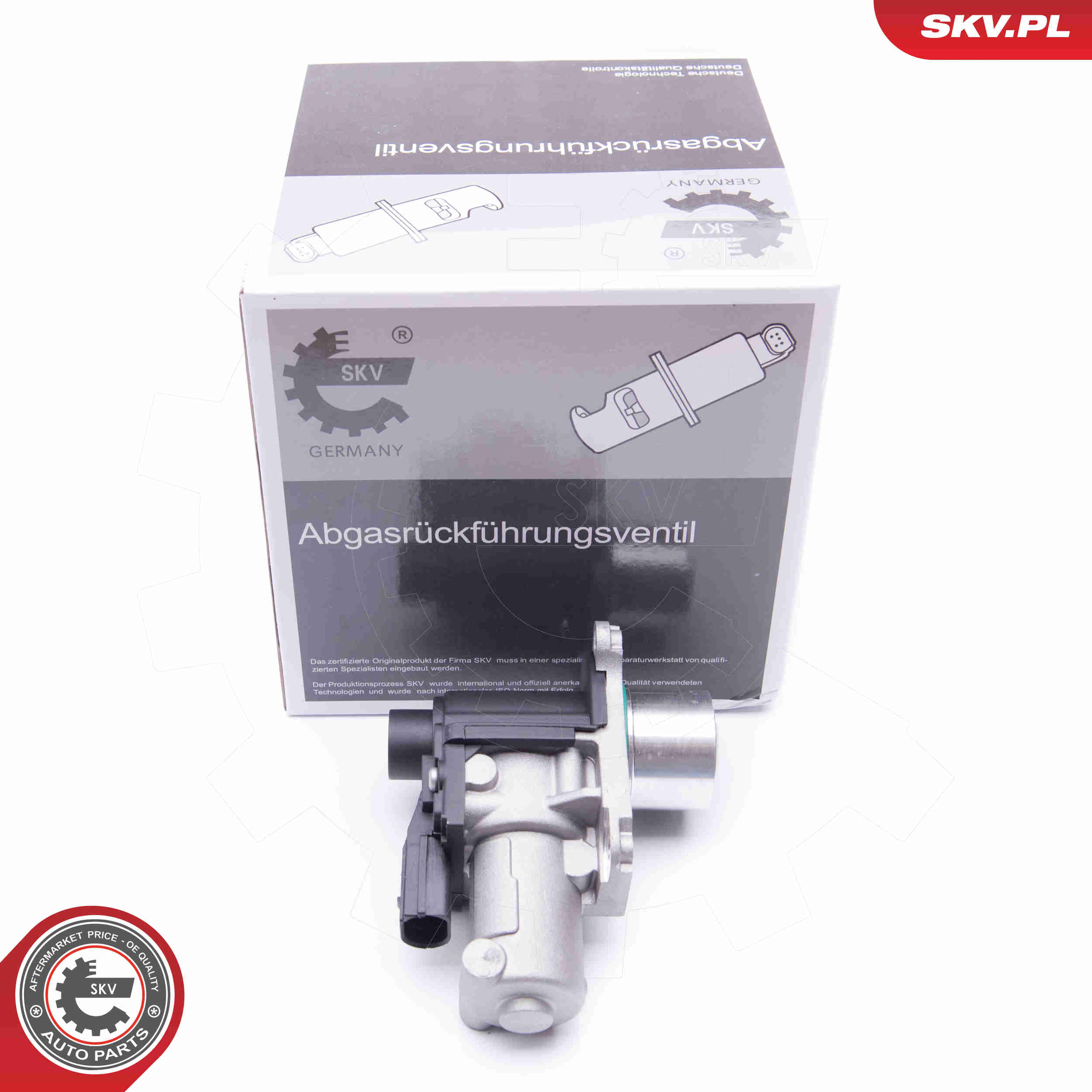 EGR Valve - 14SKV170 ESEN SKV