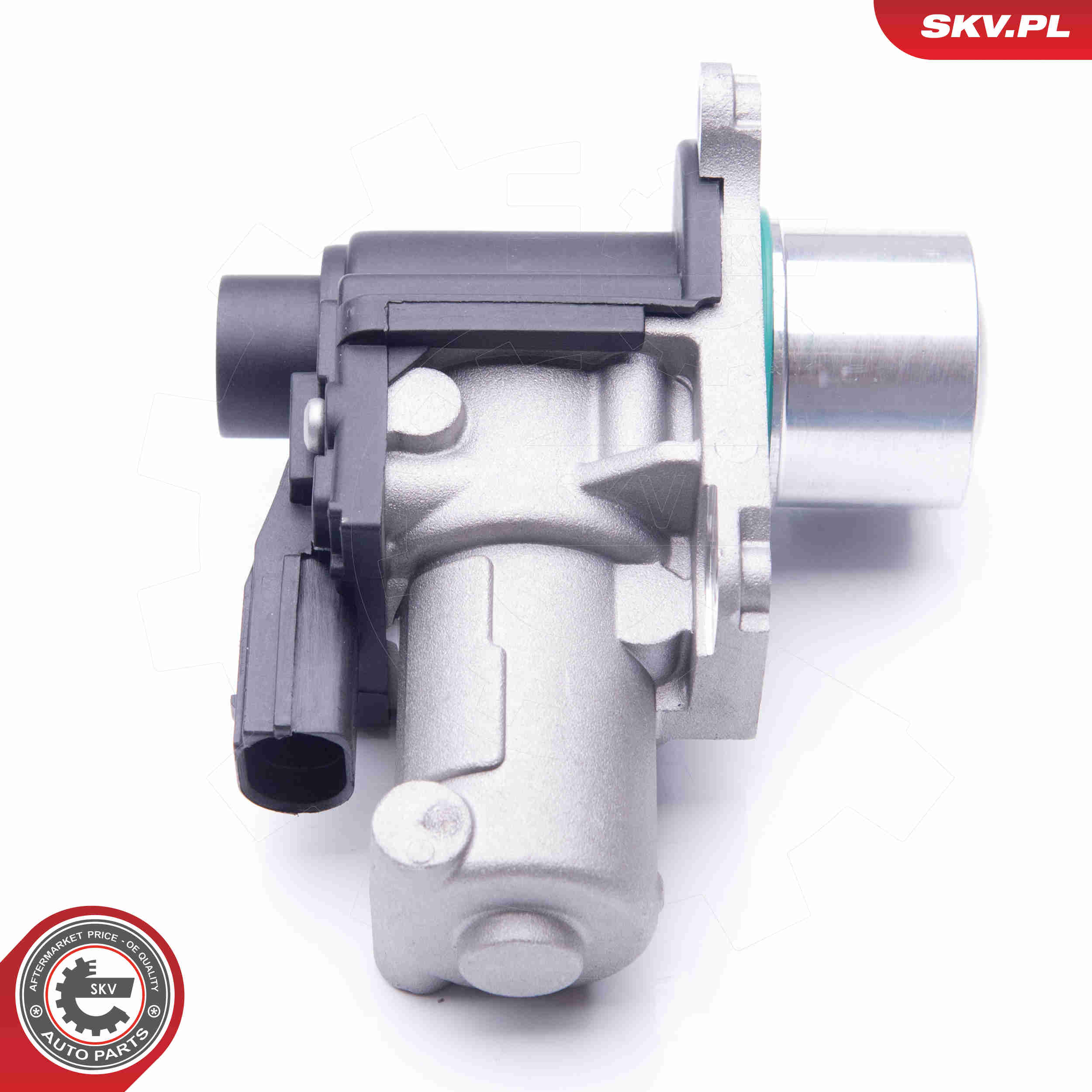 Valvola ricircolo gas scarico-EGR - 14SKV170 ESEN SKV
