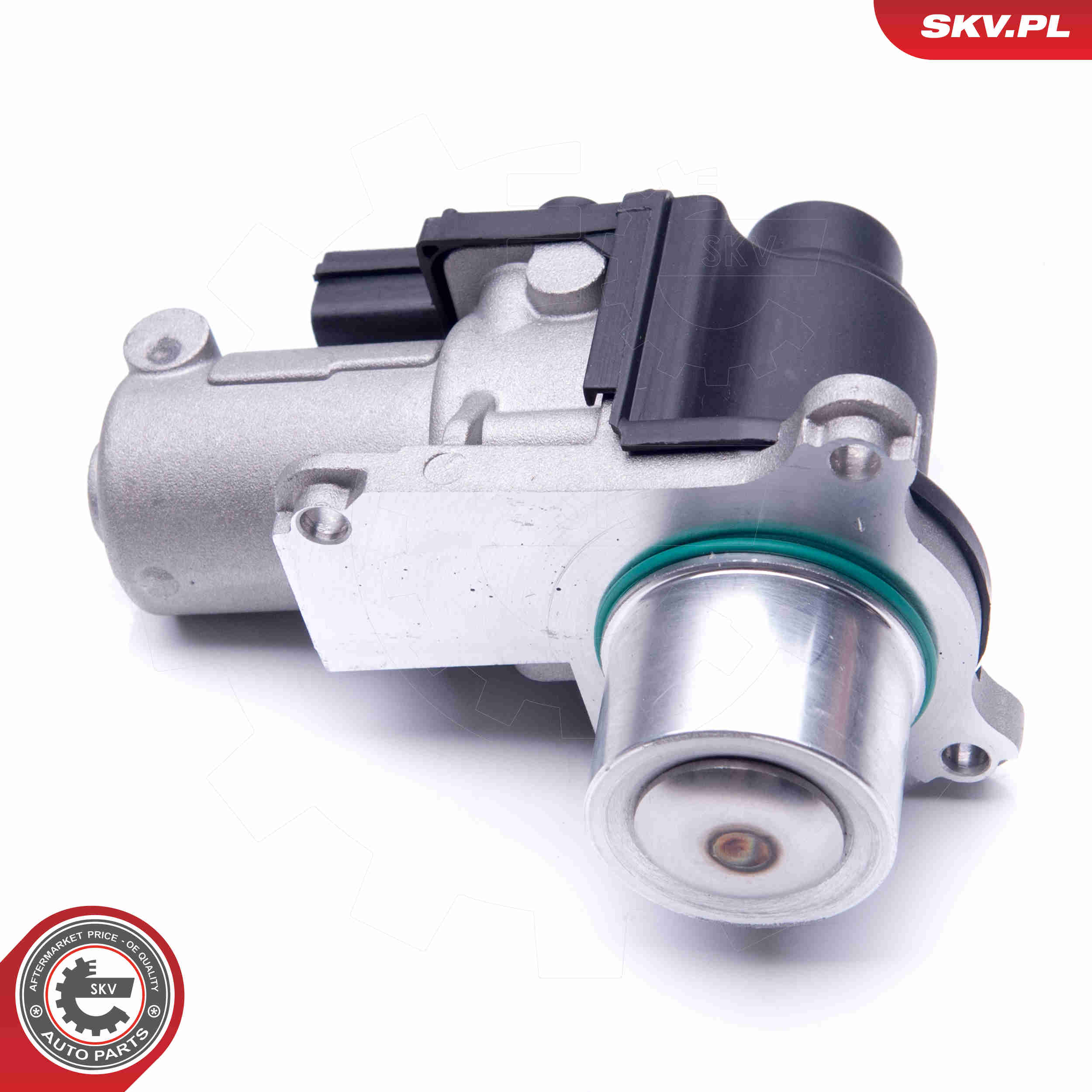 Valvola ricircolo gas scarico-EGR - 14SKV170 ESEN SKV