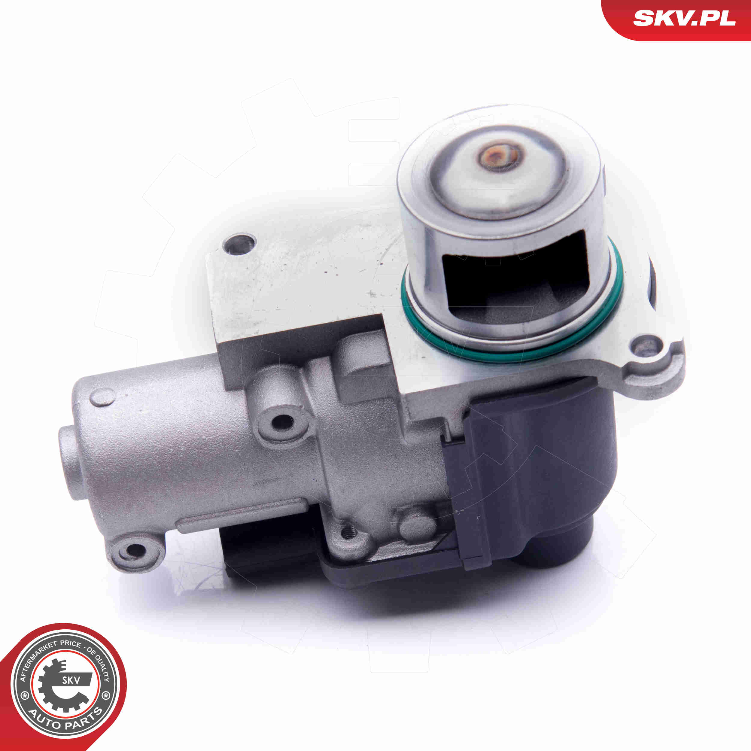 Valvola ricircolo gas scarico-EGR - 14SKV170 ESEN SKV