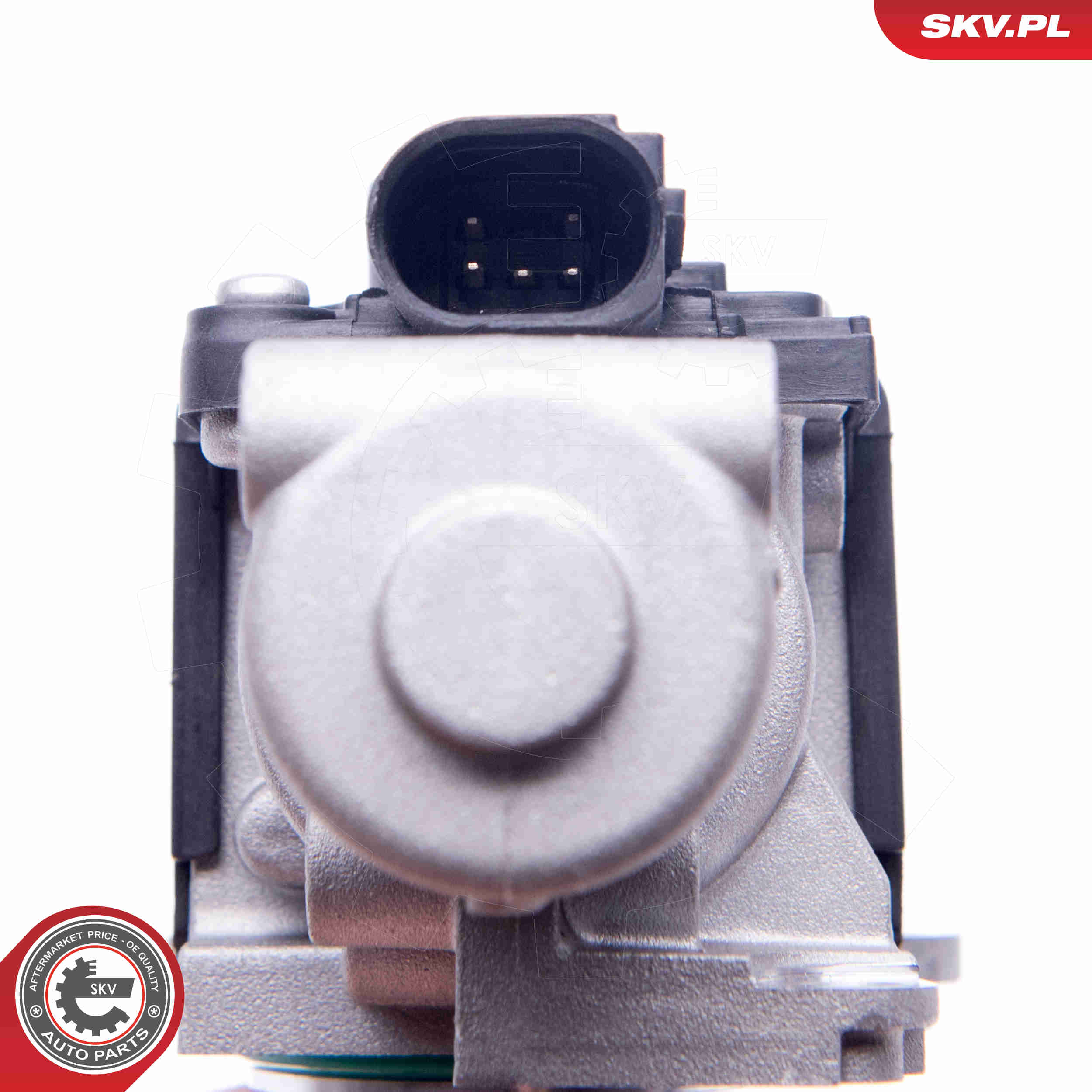 Valvola ricircolo gas scarico-EGR - 14SKV170 ESEN SKV
