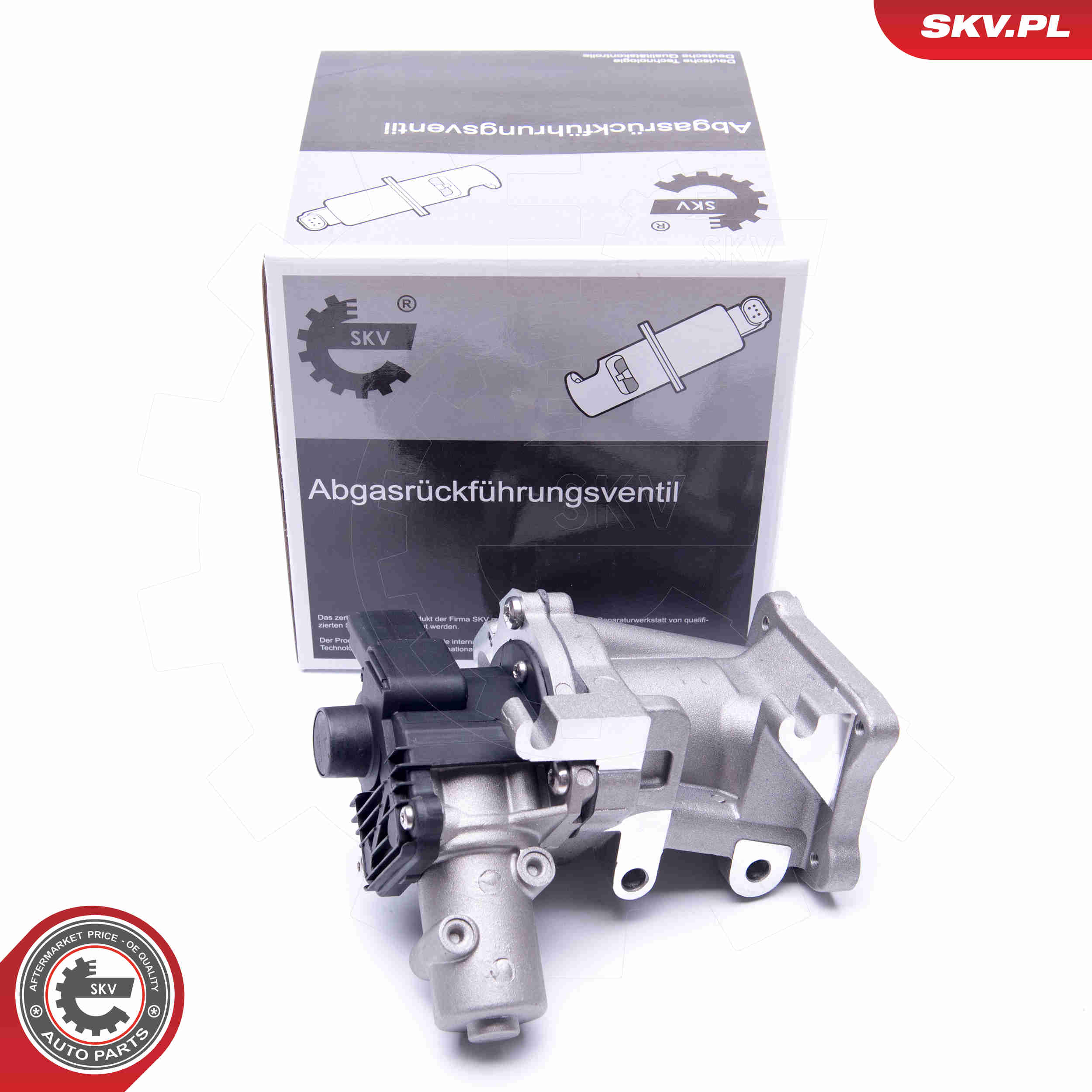 EGR Valve - 14SKV171 ESEN SKV