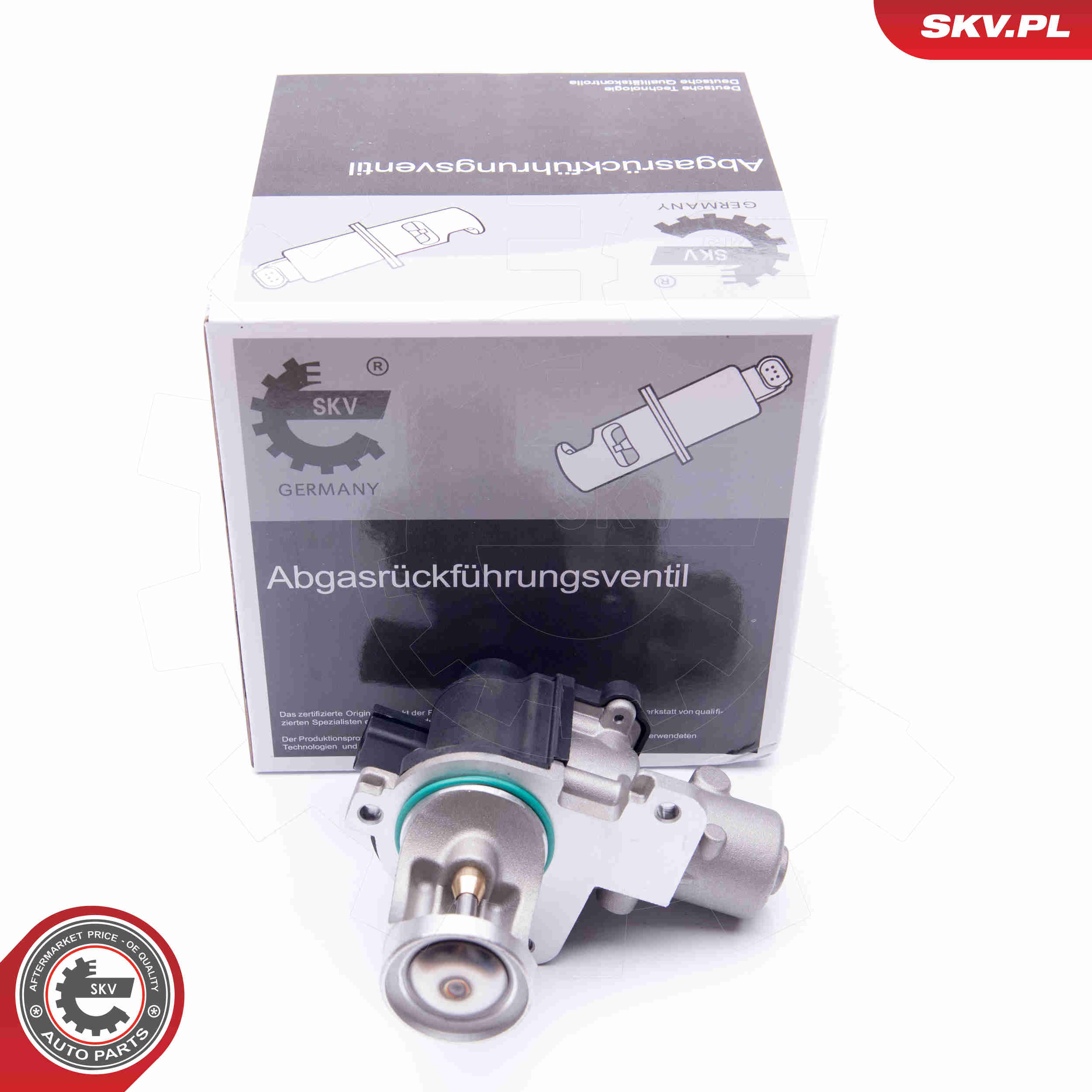 EGR Valve - 14SKV172 ESEN SKV