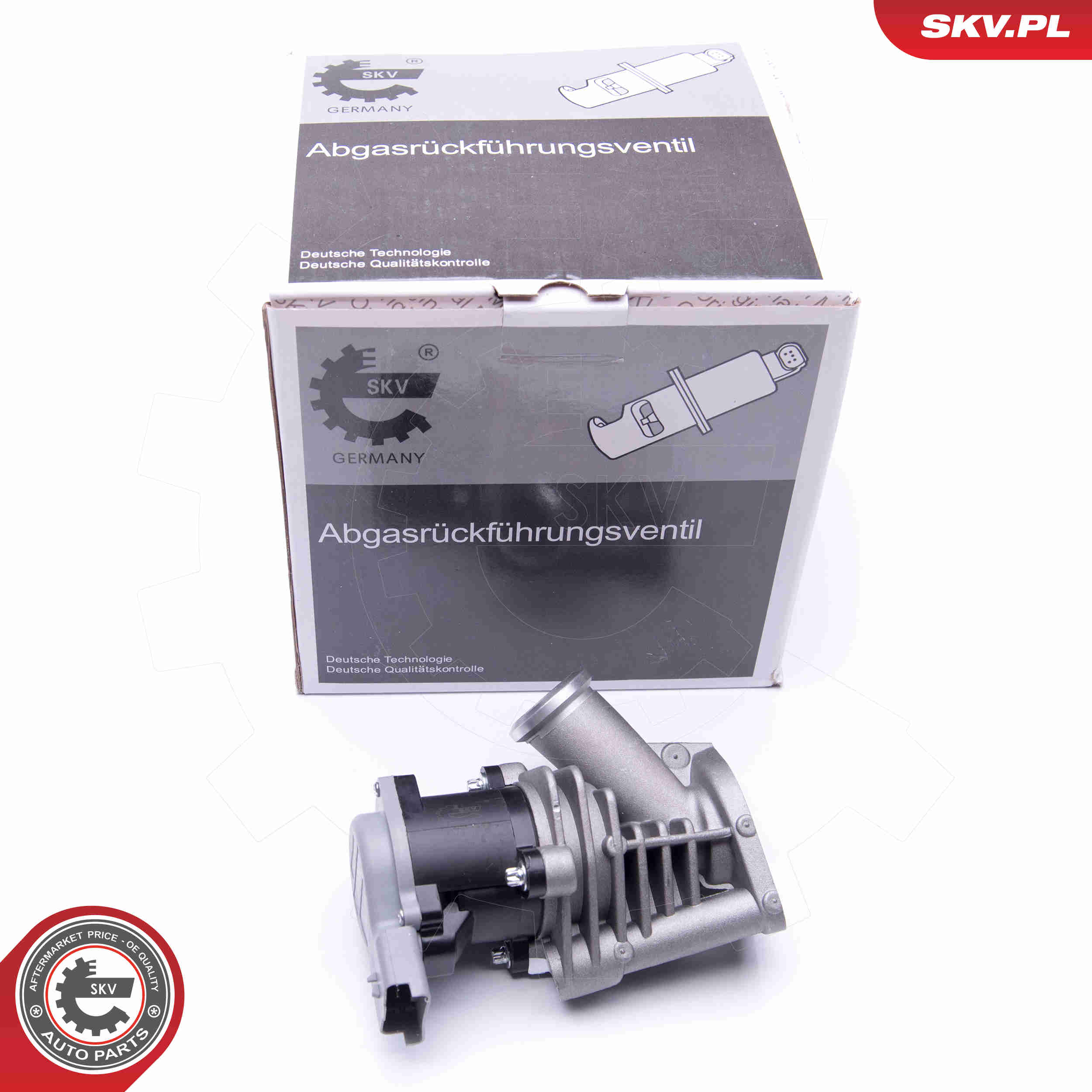 EGR Valve - 14SKV173 ESEN SKV