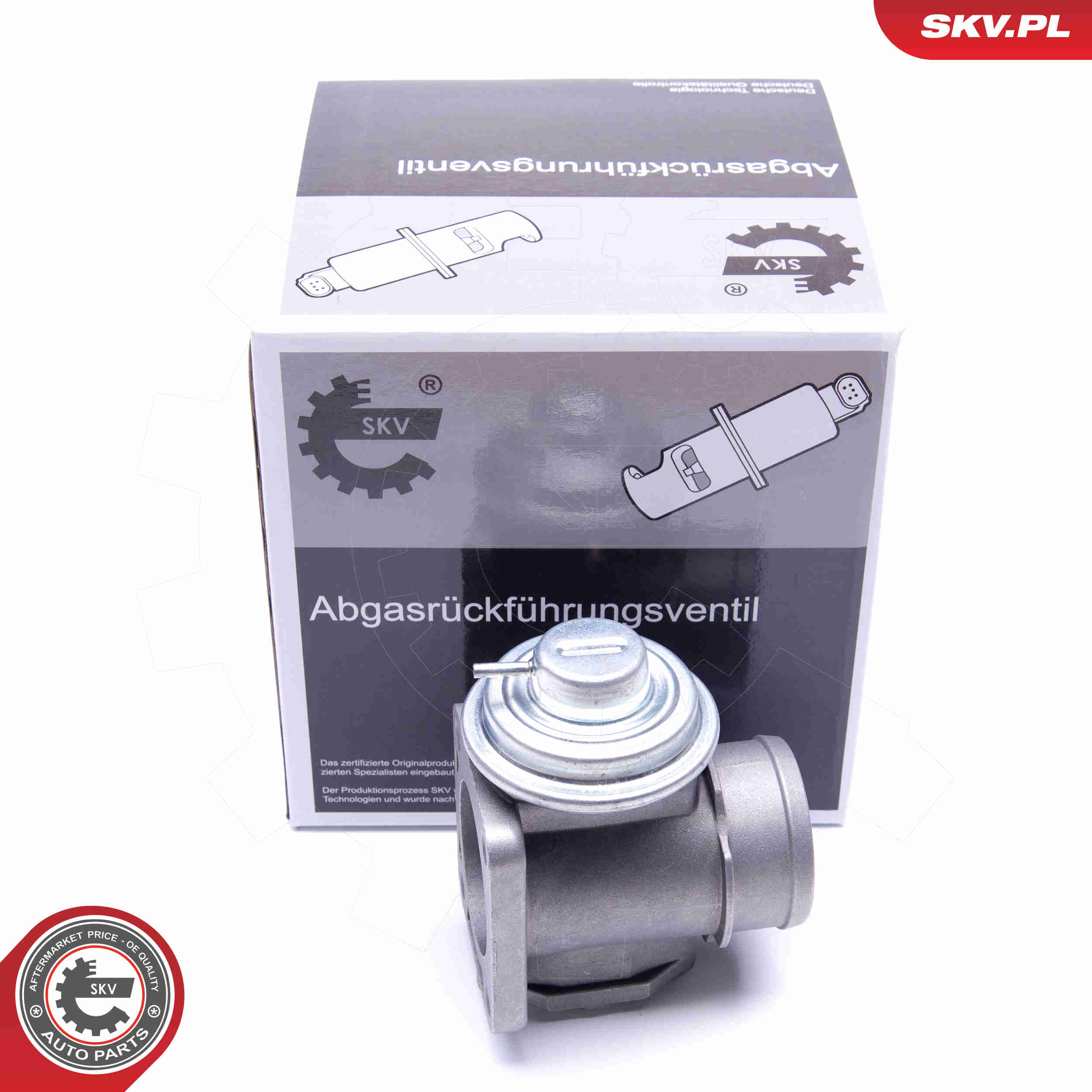 EGR Valve - 14SKV174 ESEN SKV