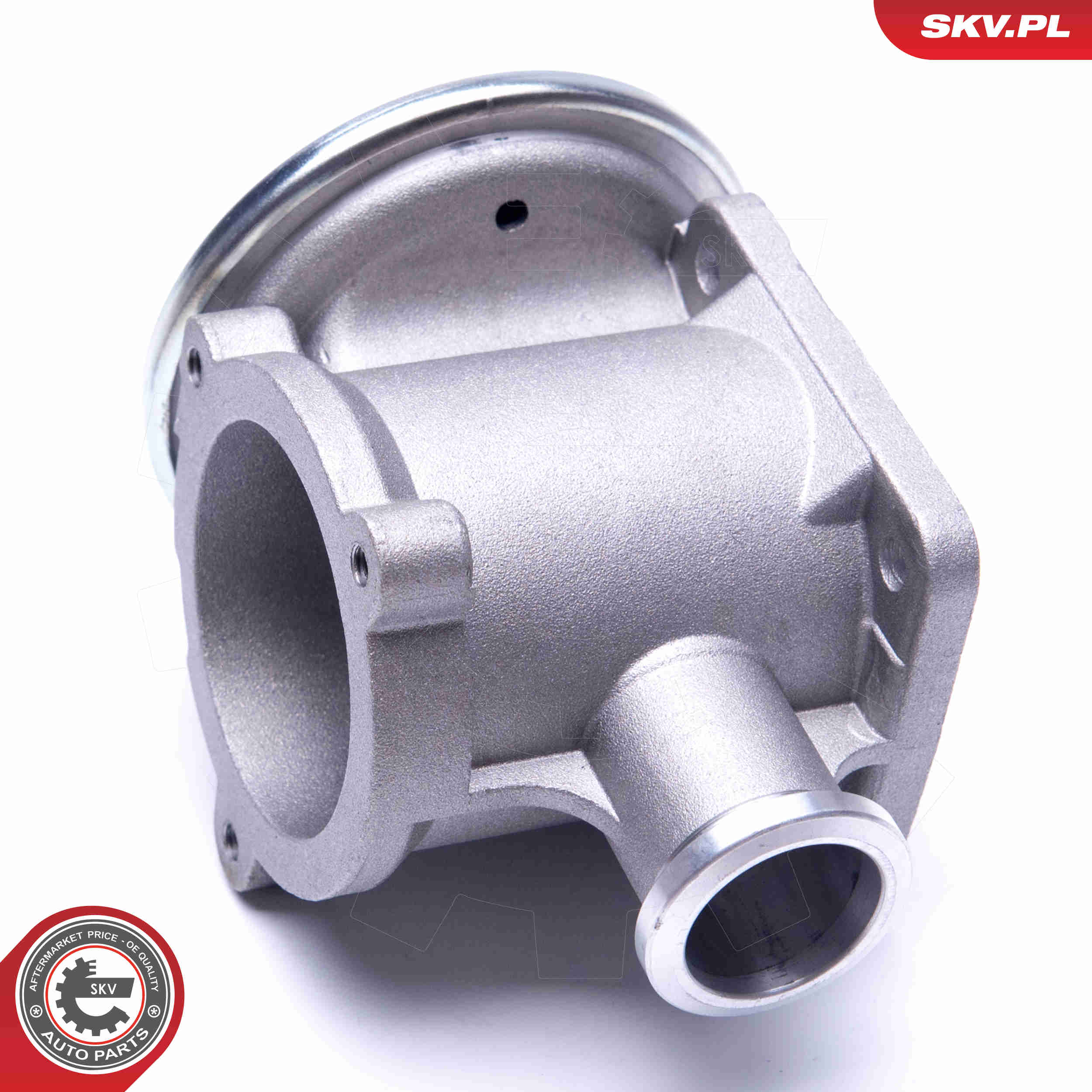 EGR Valve - 14SKV177 ESEN SKV