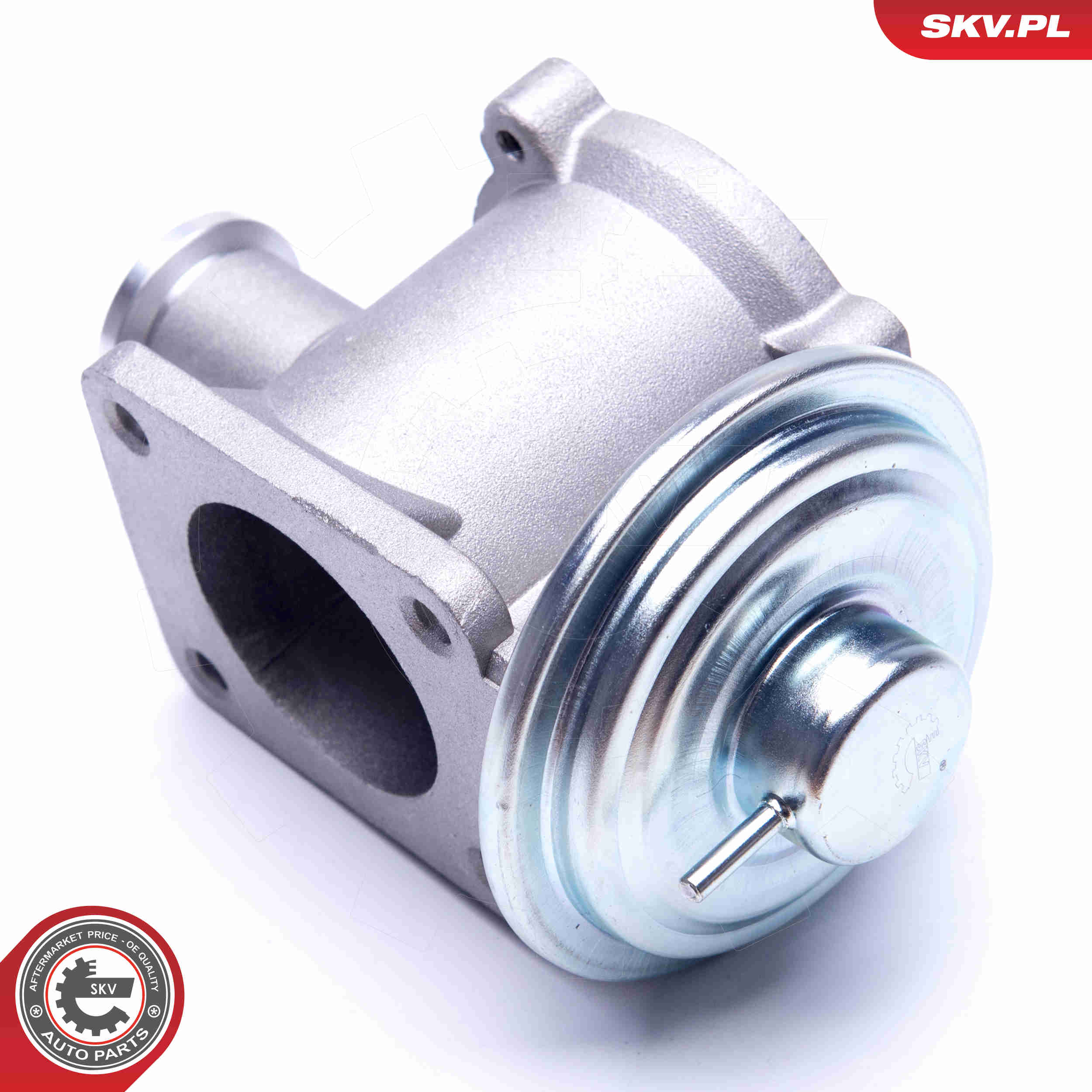 EGR Valve - 14SKV177 ESEN SKV