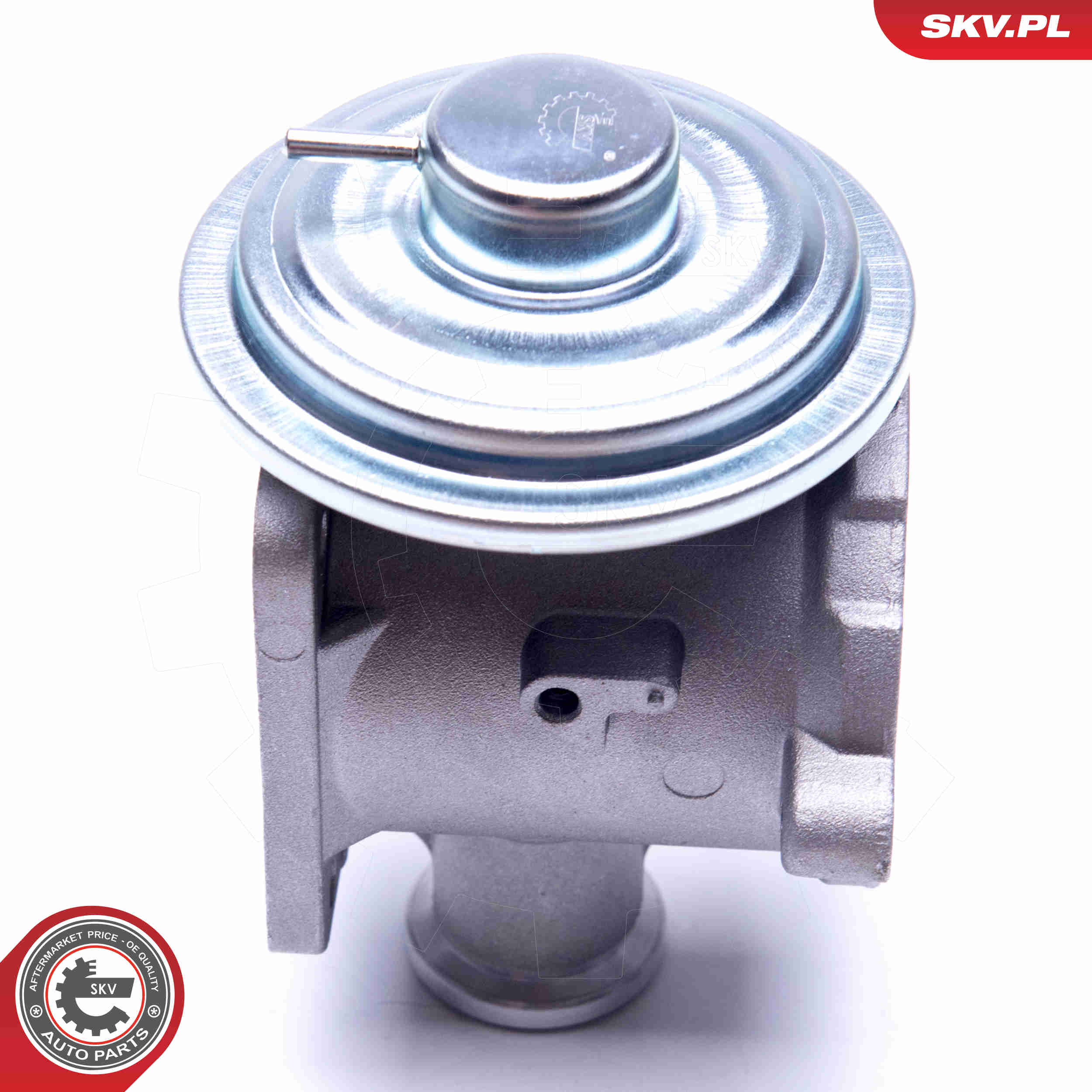 EGR Valve - 14SKV177 ESEN SKV