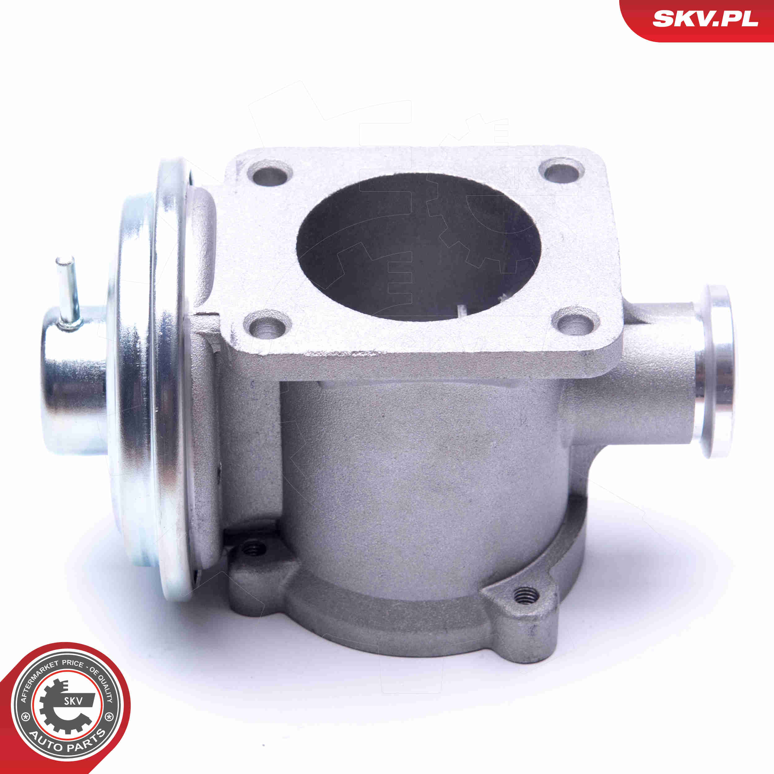 EGR Valve - 14SKV177 ESEN SKV