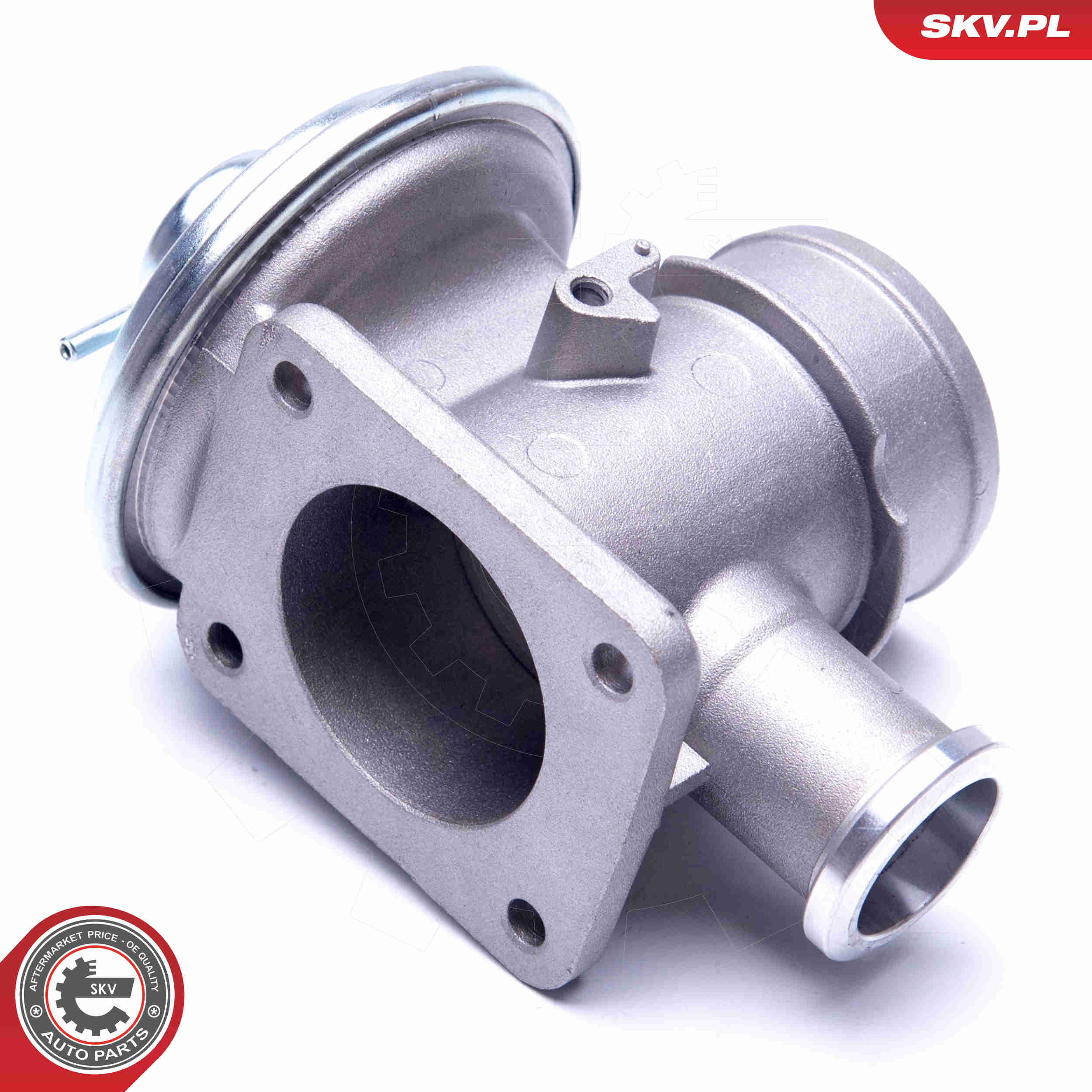 EGR Valve - 14SKV179 ESEN SKV
