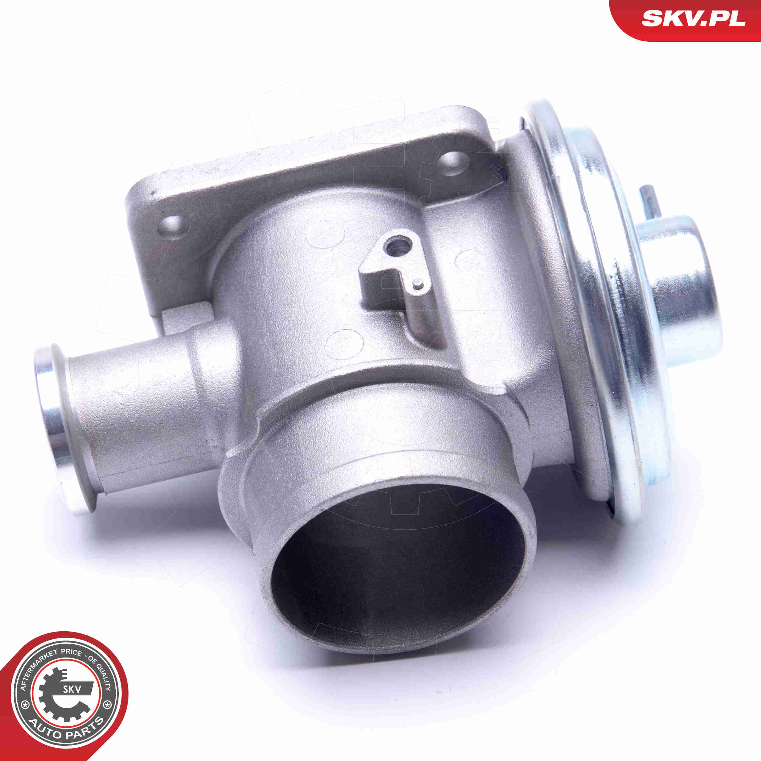 EGR Valve - 14SKV179 ESEN SKV
