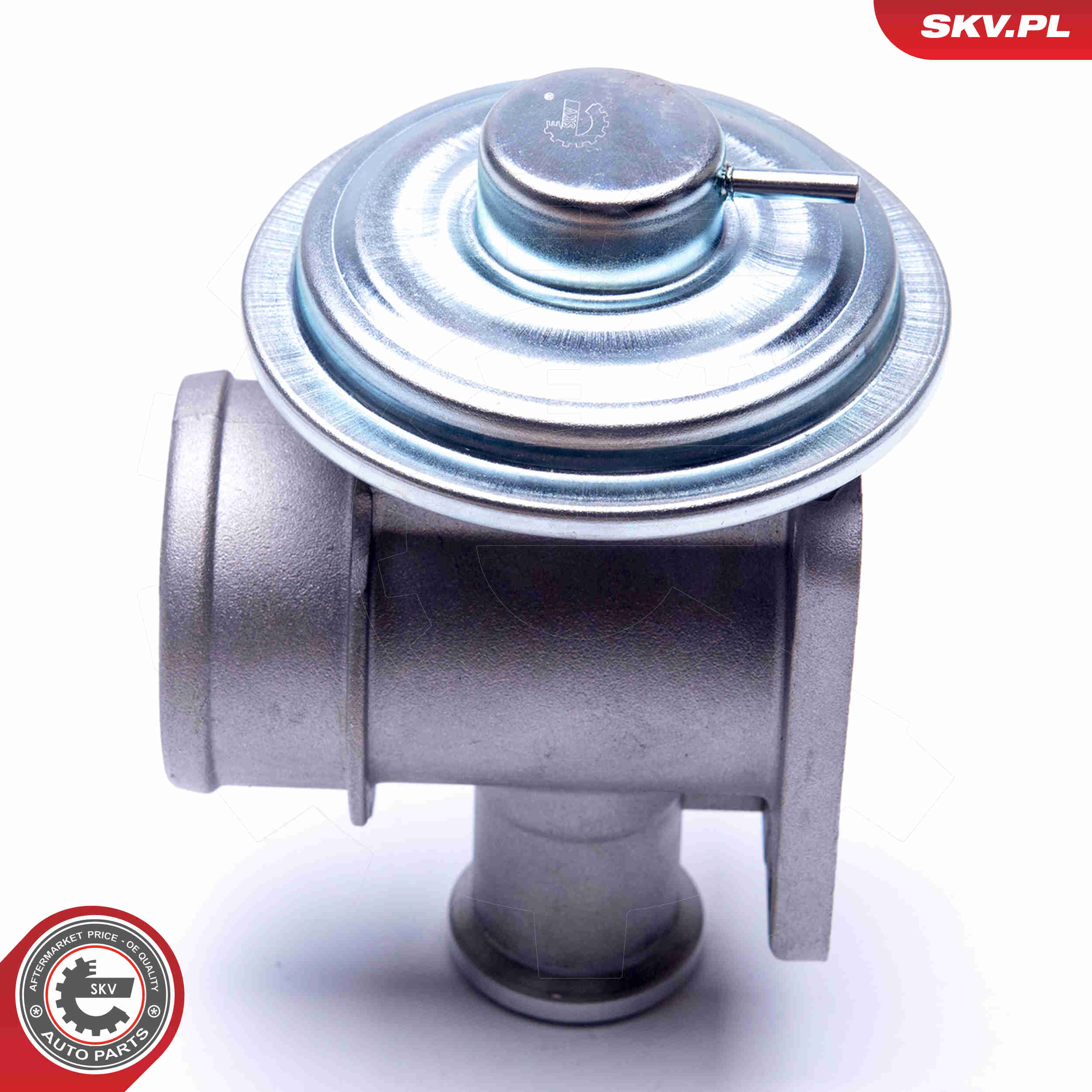 EGR Valve - 14SKV179 ESEN SKV